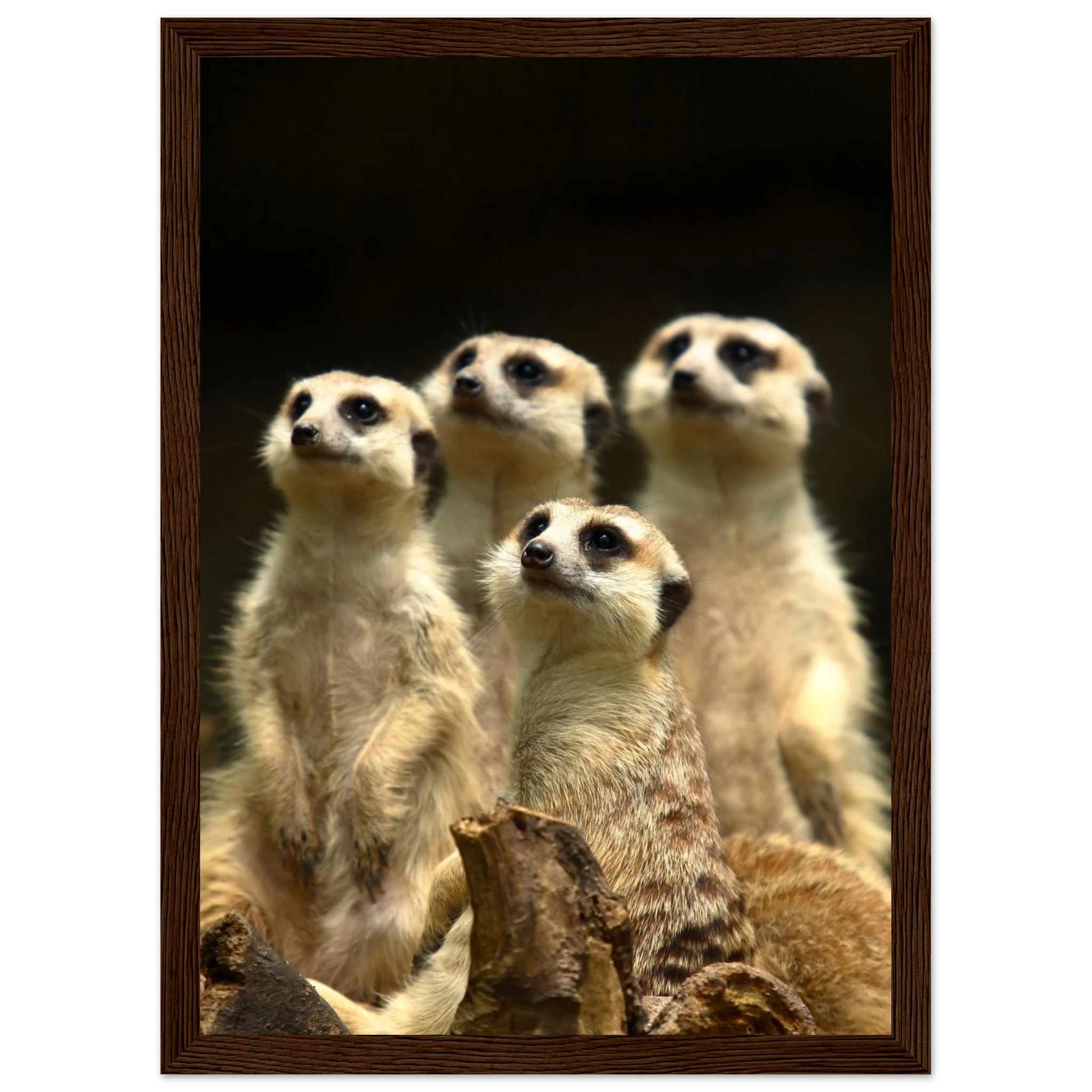 4038a1b1-2b71-40ba-87cf-a1ce9a633c90