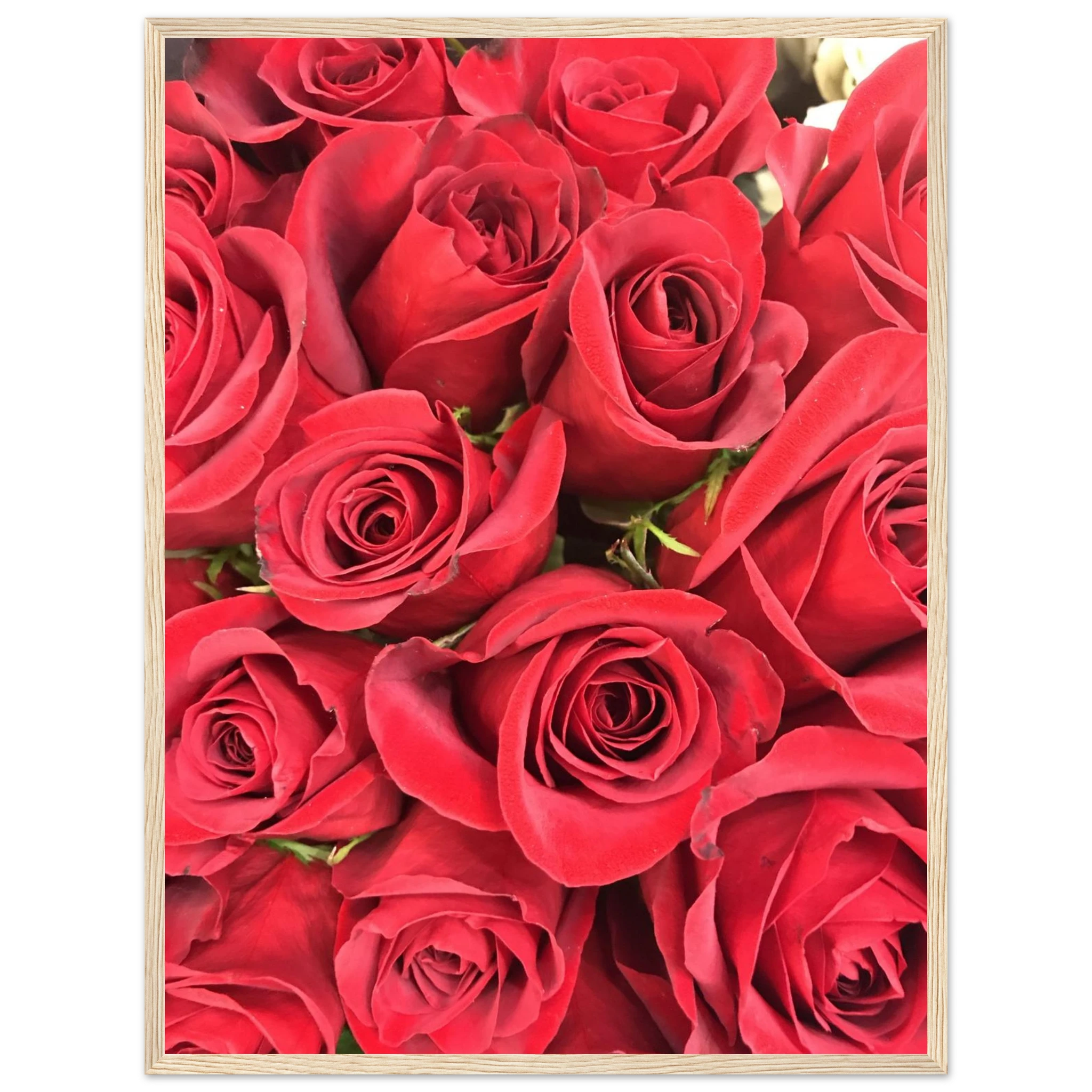 4038aaa4-86b2-4d6d-852e-30d16c03d269