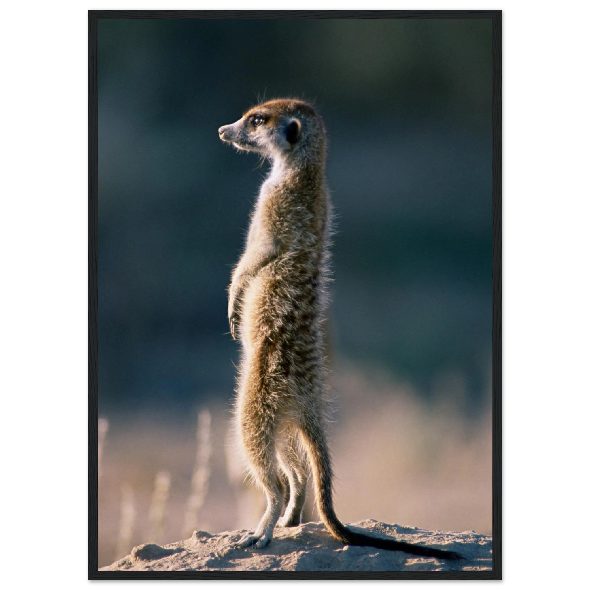 403d049a-7b15-434d-ba0c-11bc9e1f5eb0