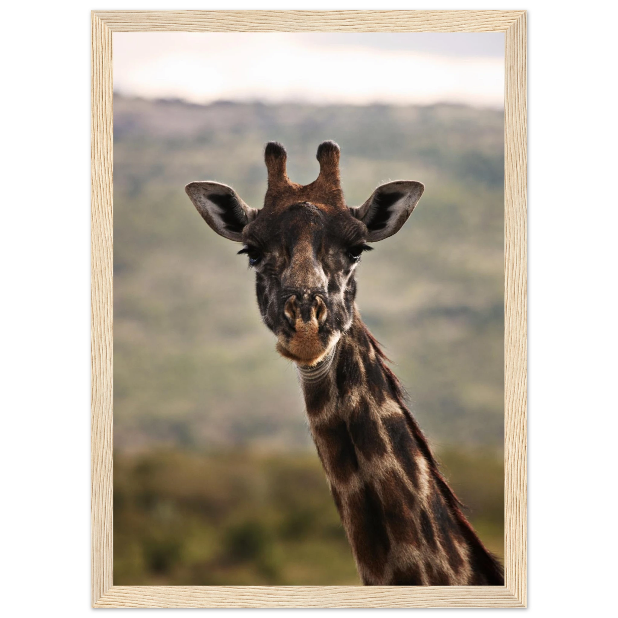 407a8ec1-10b4-4f24-829a-29be91c21d36