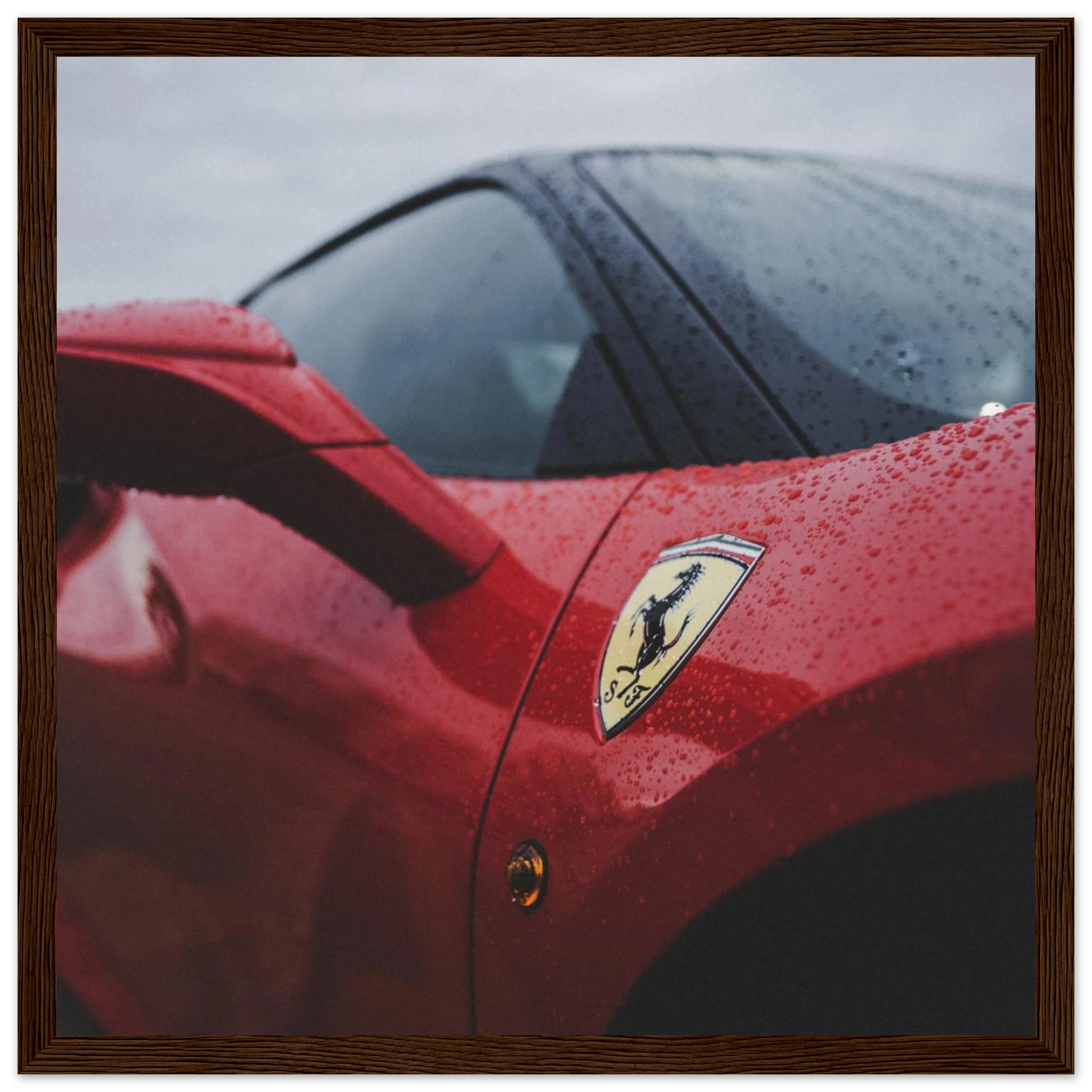 409d376b-7df4-49b1-8daa-df791b3c1886