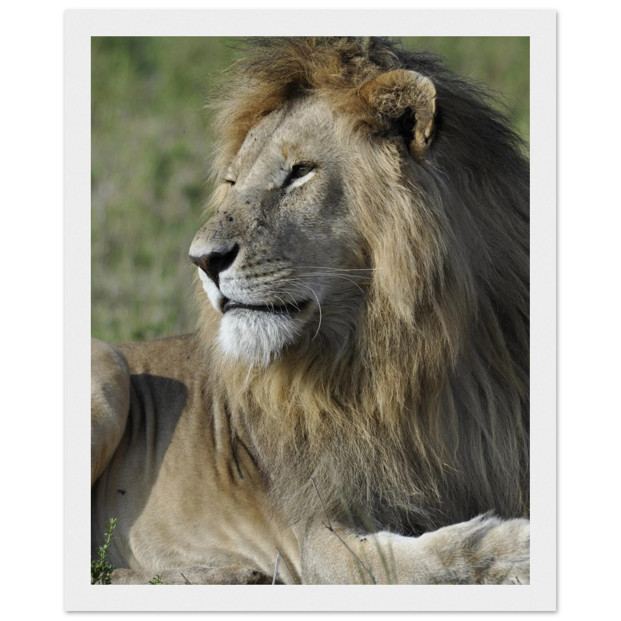 40c4fb68-2bec-4f40-a9a2-44ed37b066ac