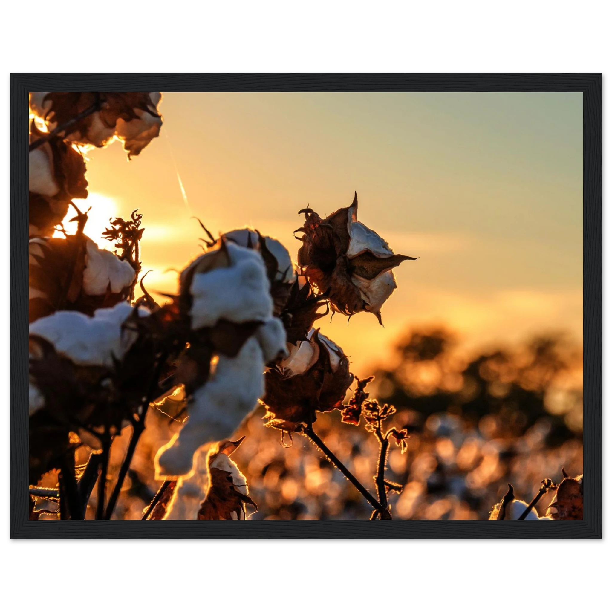 40e93b2c-e1d1-410e-b6b8-d1307060bb35