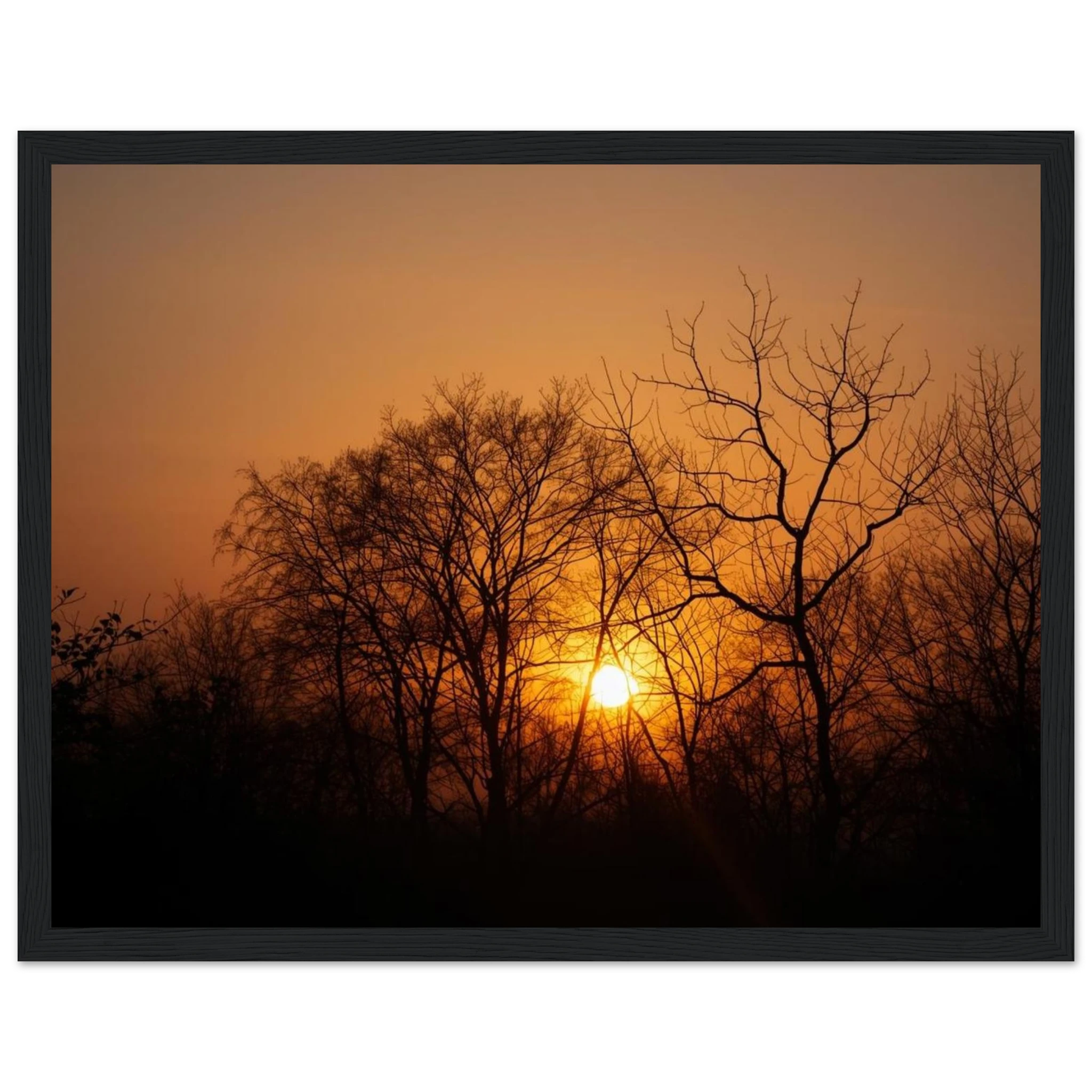 40fe9d37-5ccb-48b8-8f31-4aef34dc747e