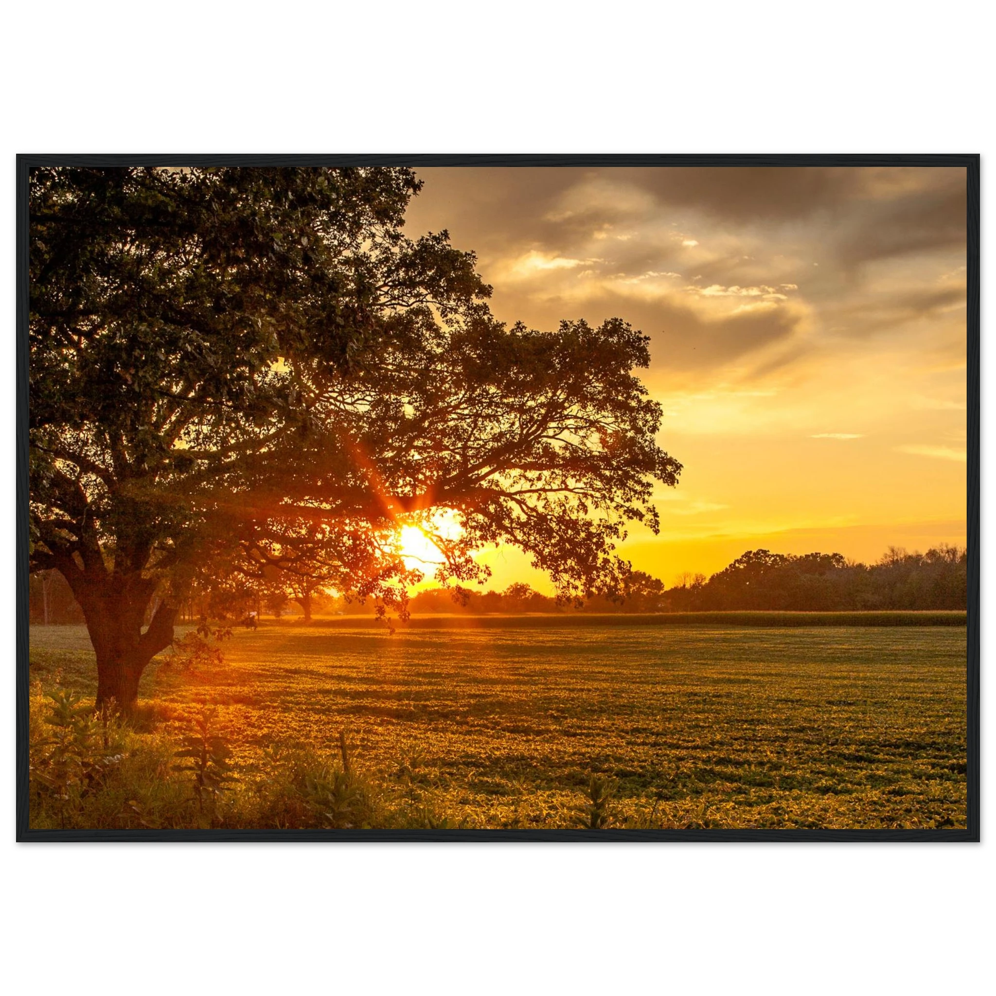 4107a467-95b1-4211-b64c-d8c238dede7c