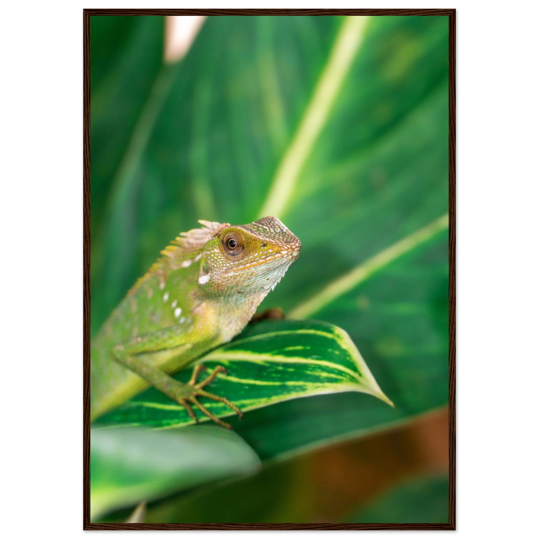 410930b7-85b1-46a6-aefb-88d483468753