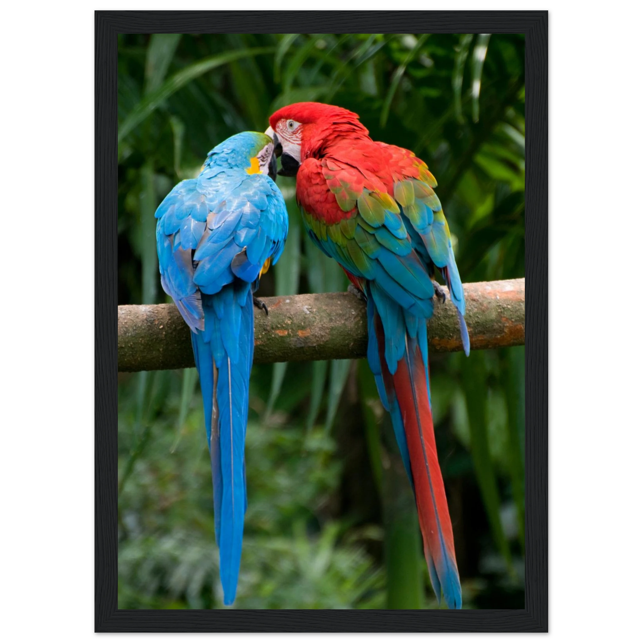 410c04e6-6ac2-4654-b73e-f8db52888f4c