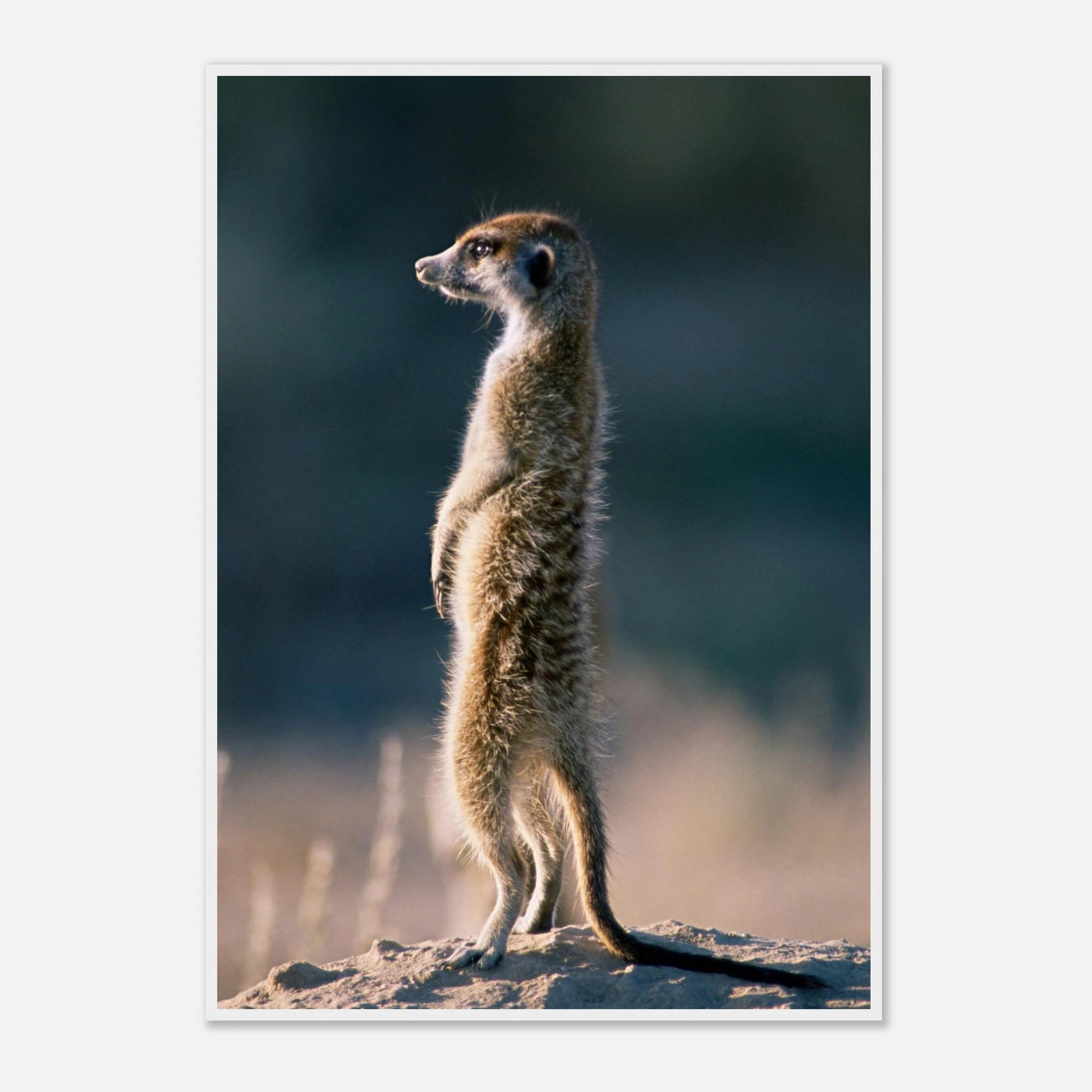 41422660-a287-4193-b318-795e6fed5899