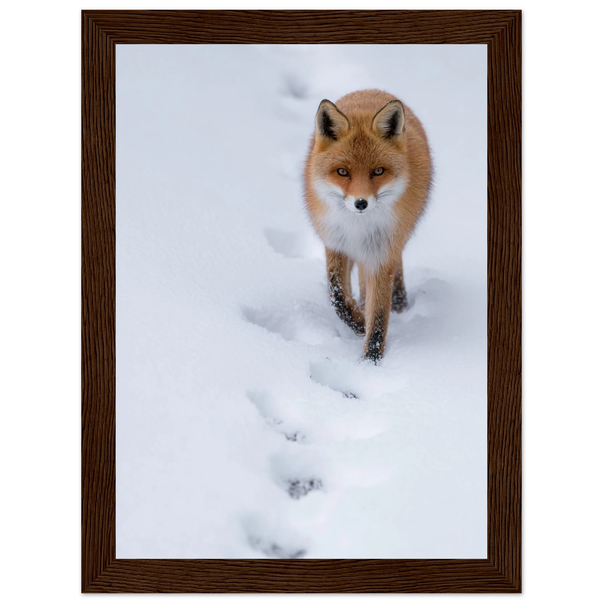 4147a540-796c-4766-913d-b731b6c5ed75