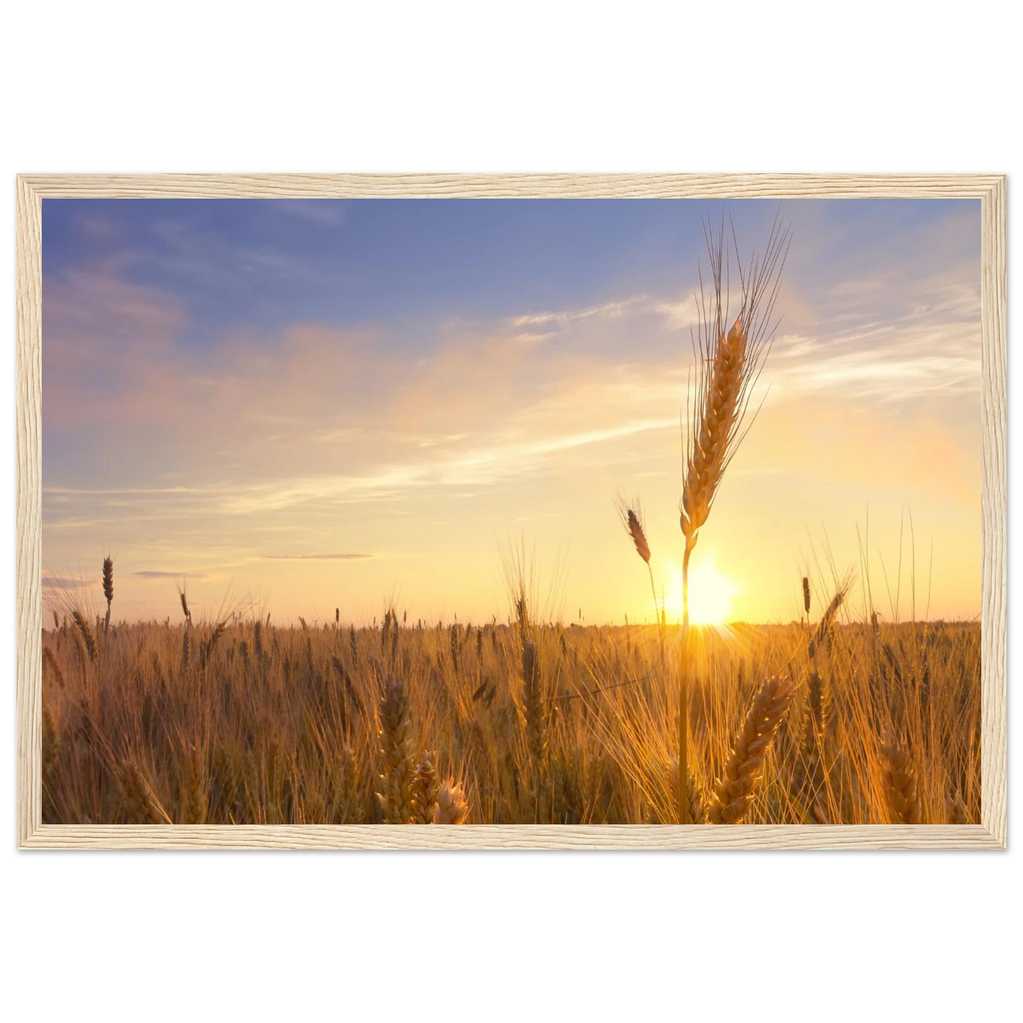 41684d65-8b46-4758-9a4b-ea24020cce74