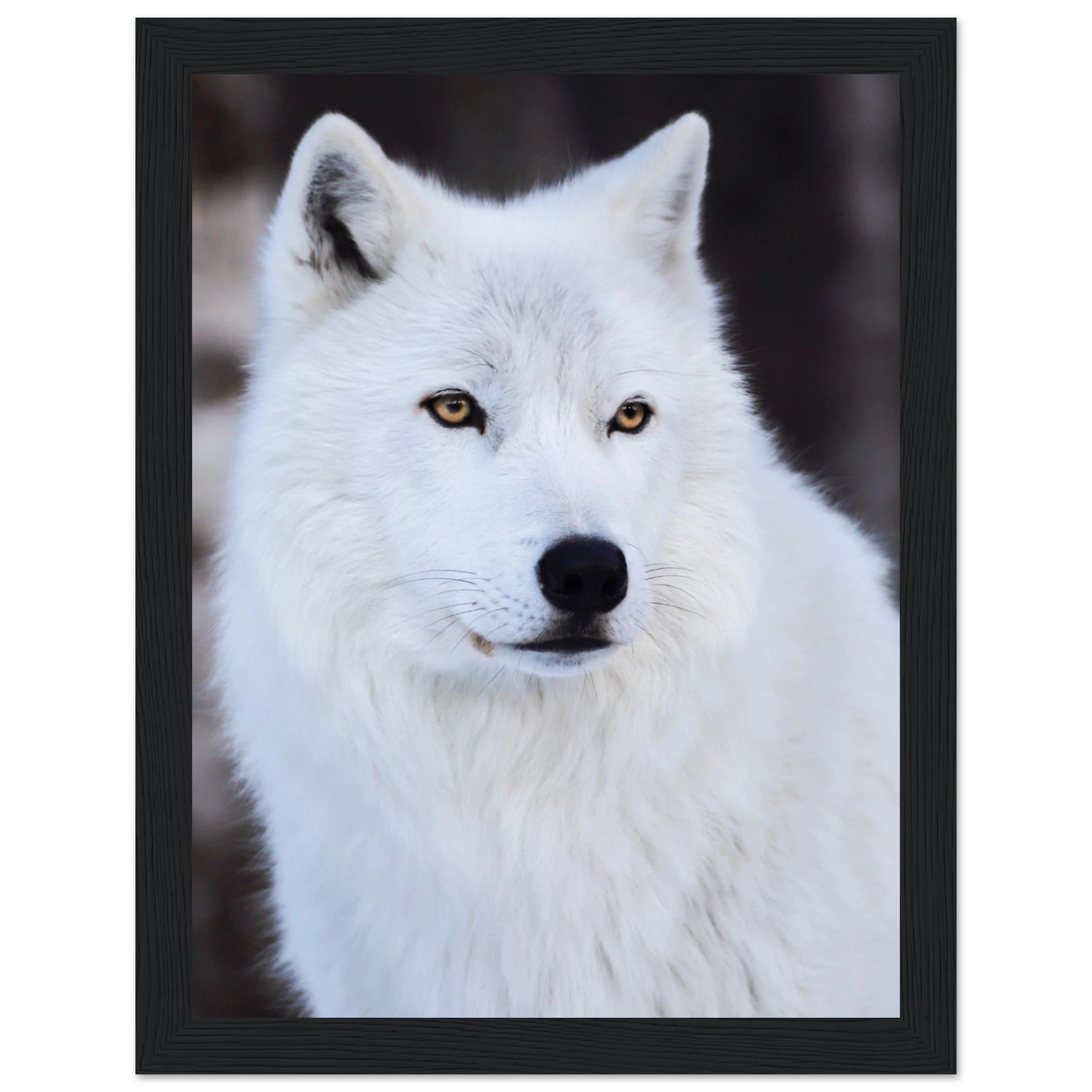 417e3690-304a-4c8b-a26d-7c56788ecdb1