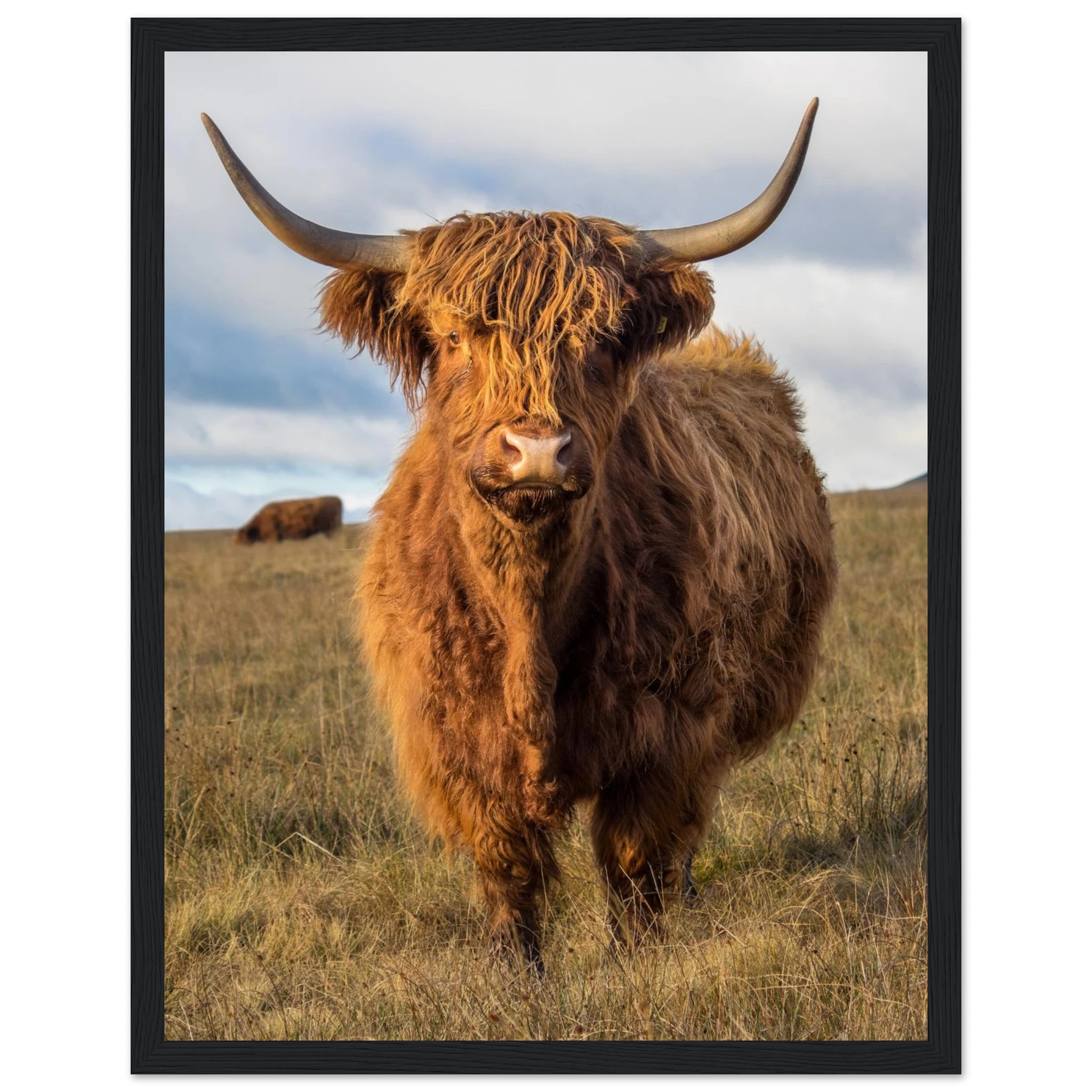 419e8d96-d1cc-496a-a258-b4f85a9ce401