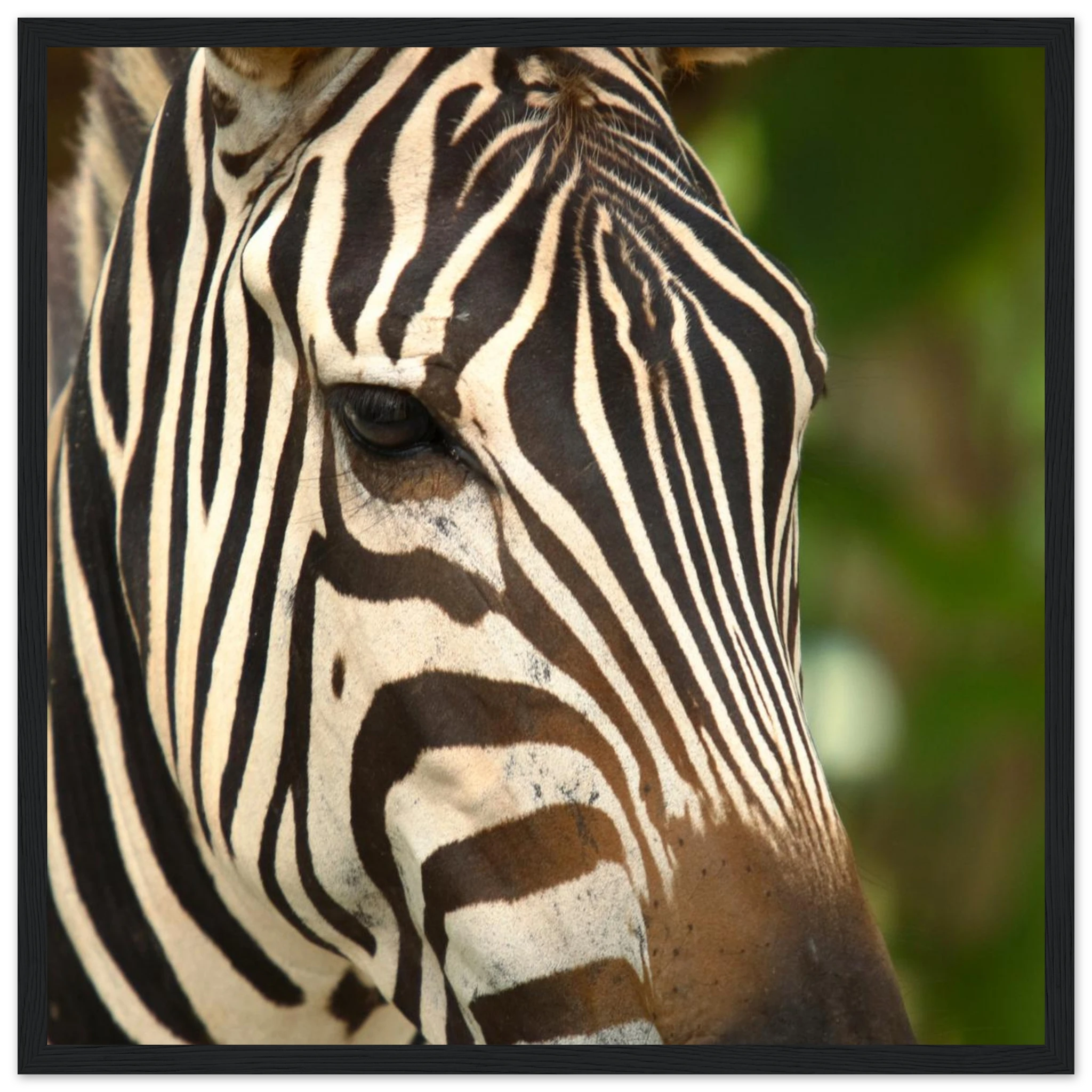 41d5503f-271e-488b-8141-1d6c71dc2b21