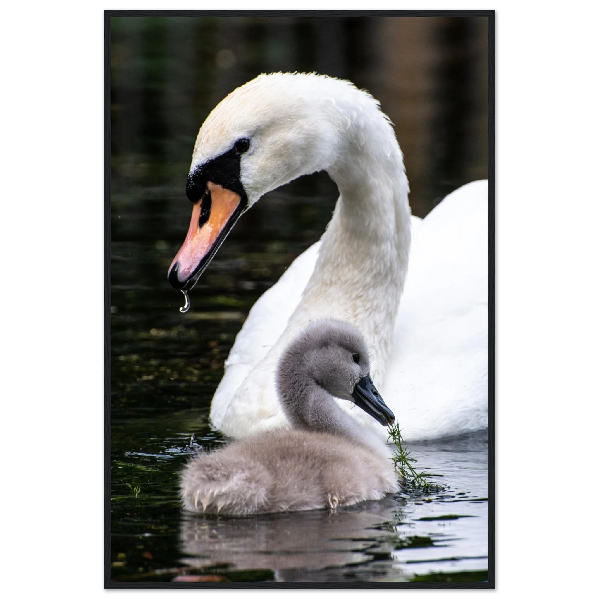 41e29dd6-de84-4df5-8d49-61fddbbd66ff