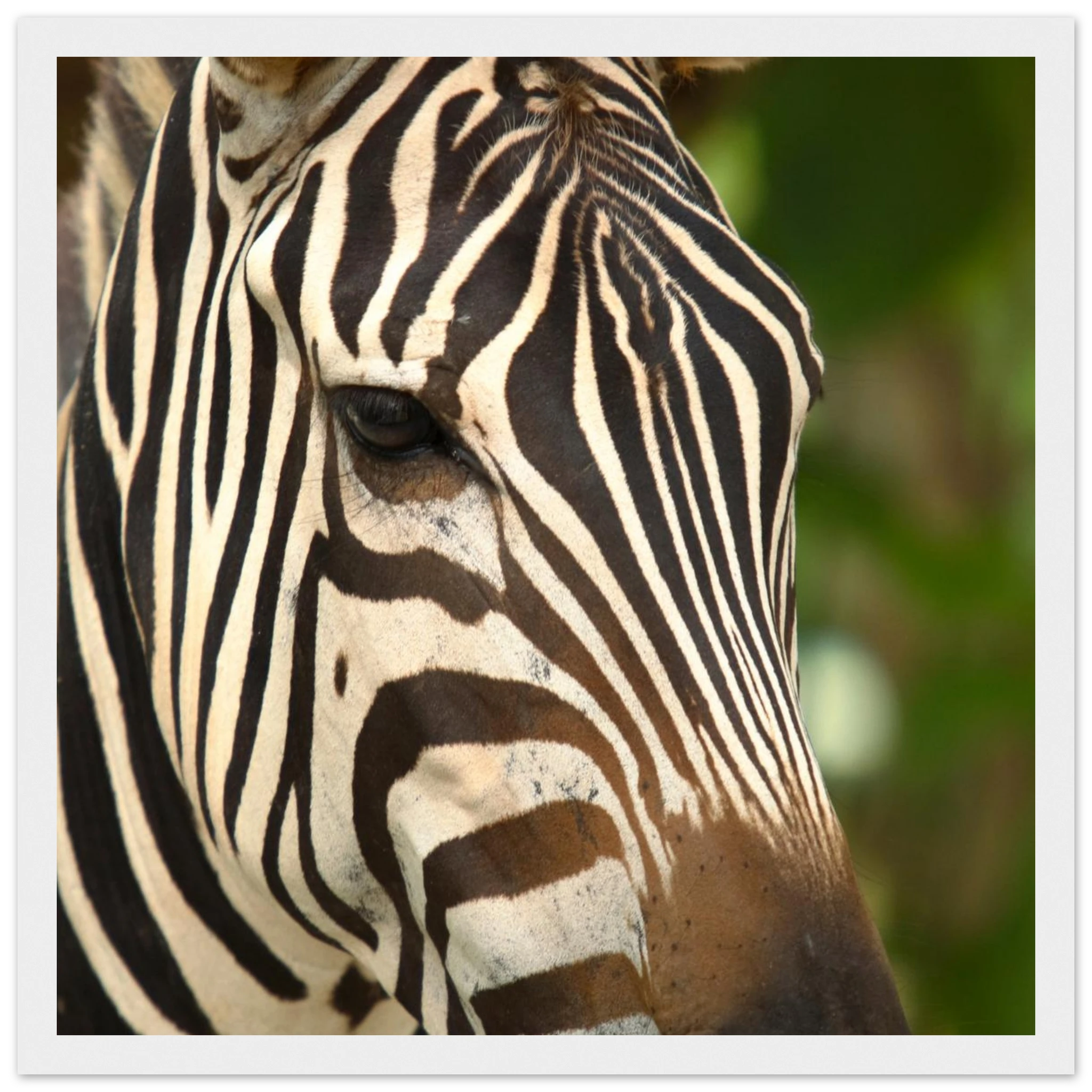 41e33663-e428-4867-8efc-6c88389d09d9