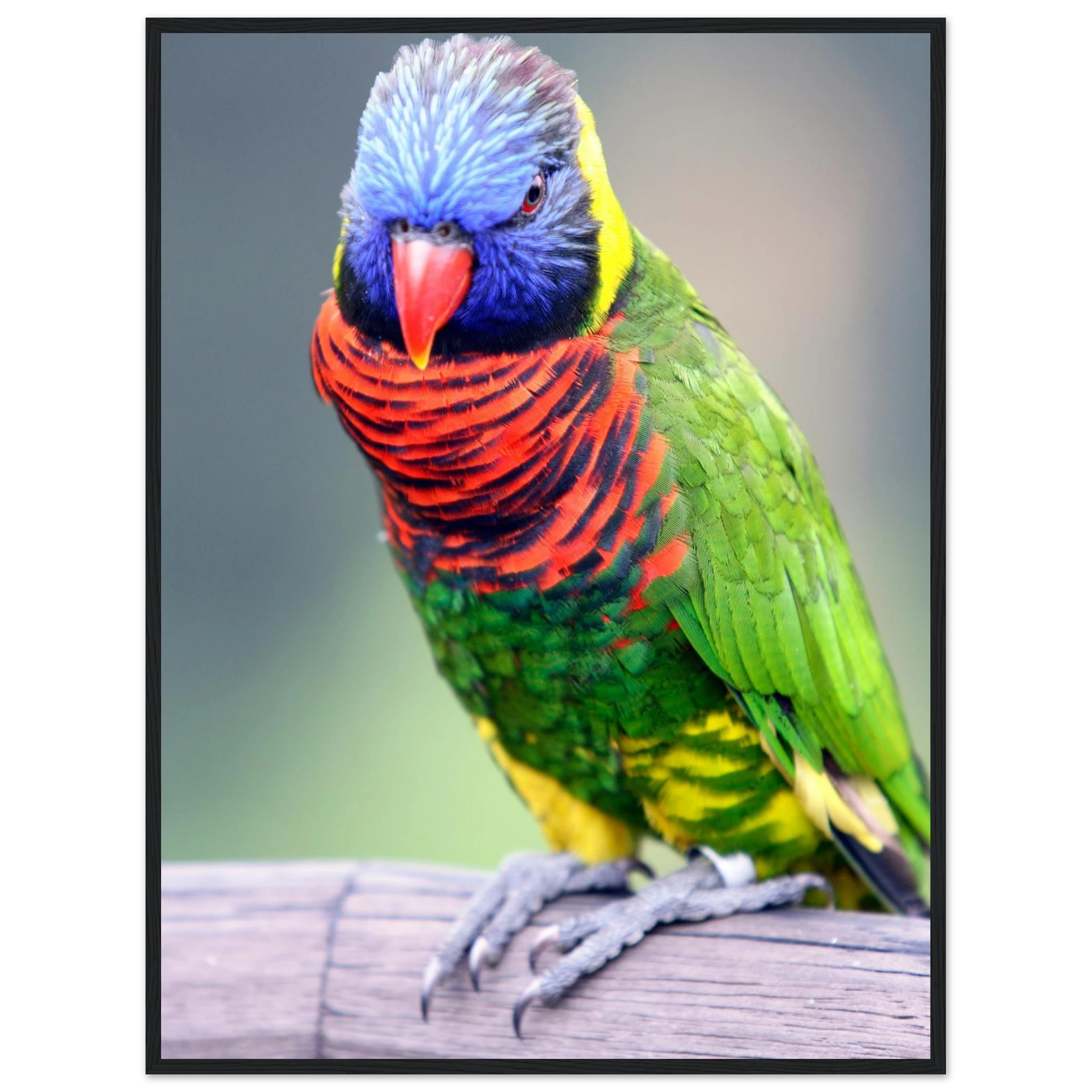 421f171b-44c7-442f-b02e-80acc45346c7