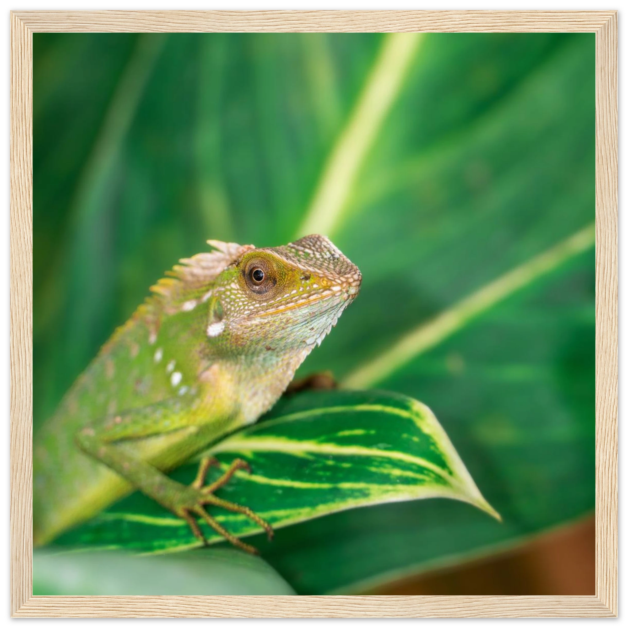 422872c3-af8b-4ac3-af7e-653ada784724