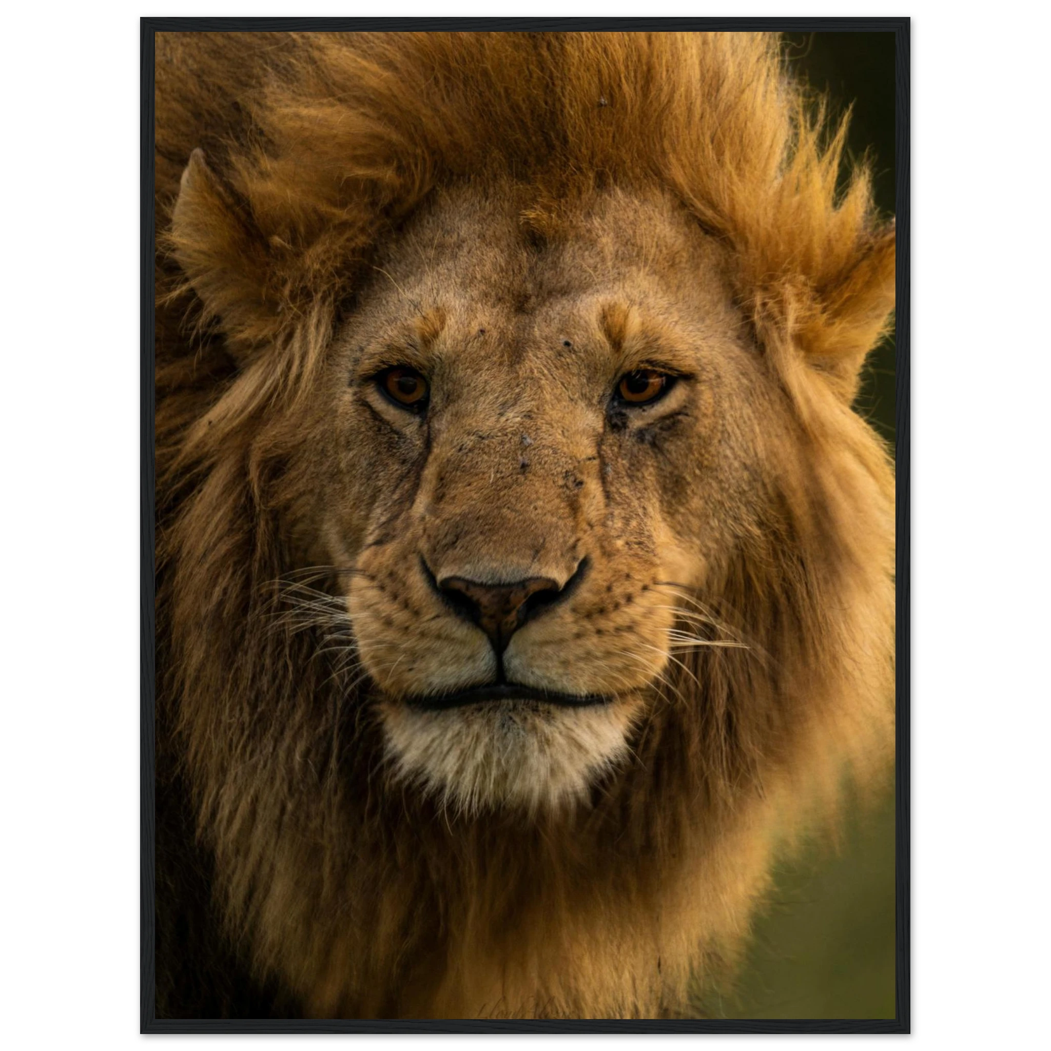 4256fa22-51b7-4e46-8aab-893208f59f04