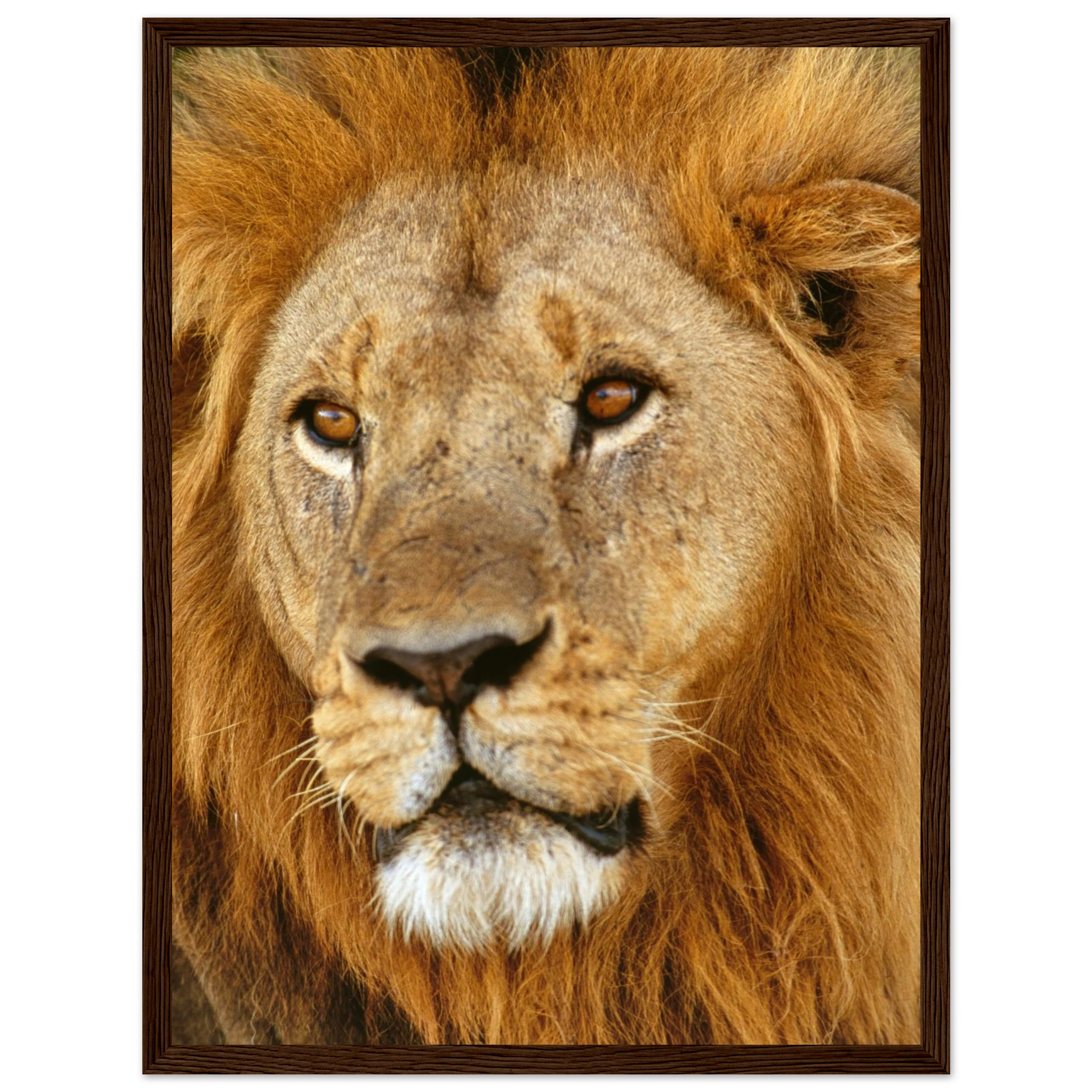 42675af1-01a1-4a9a-a918-0496081a5cff