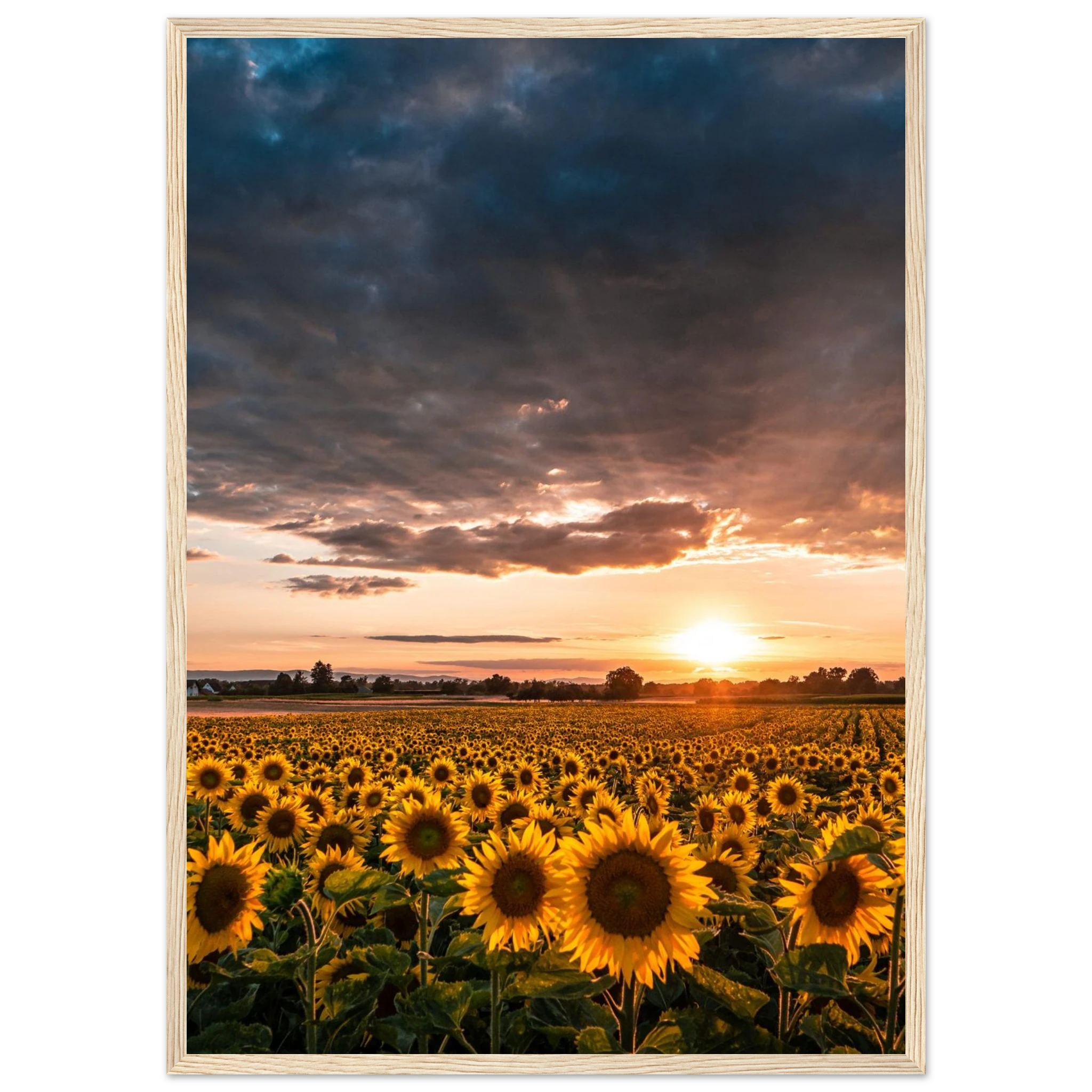 4267d1da-e0d3-488a-95d9-a361e229a111