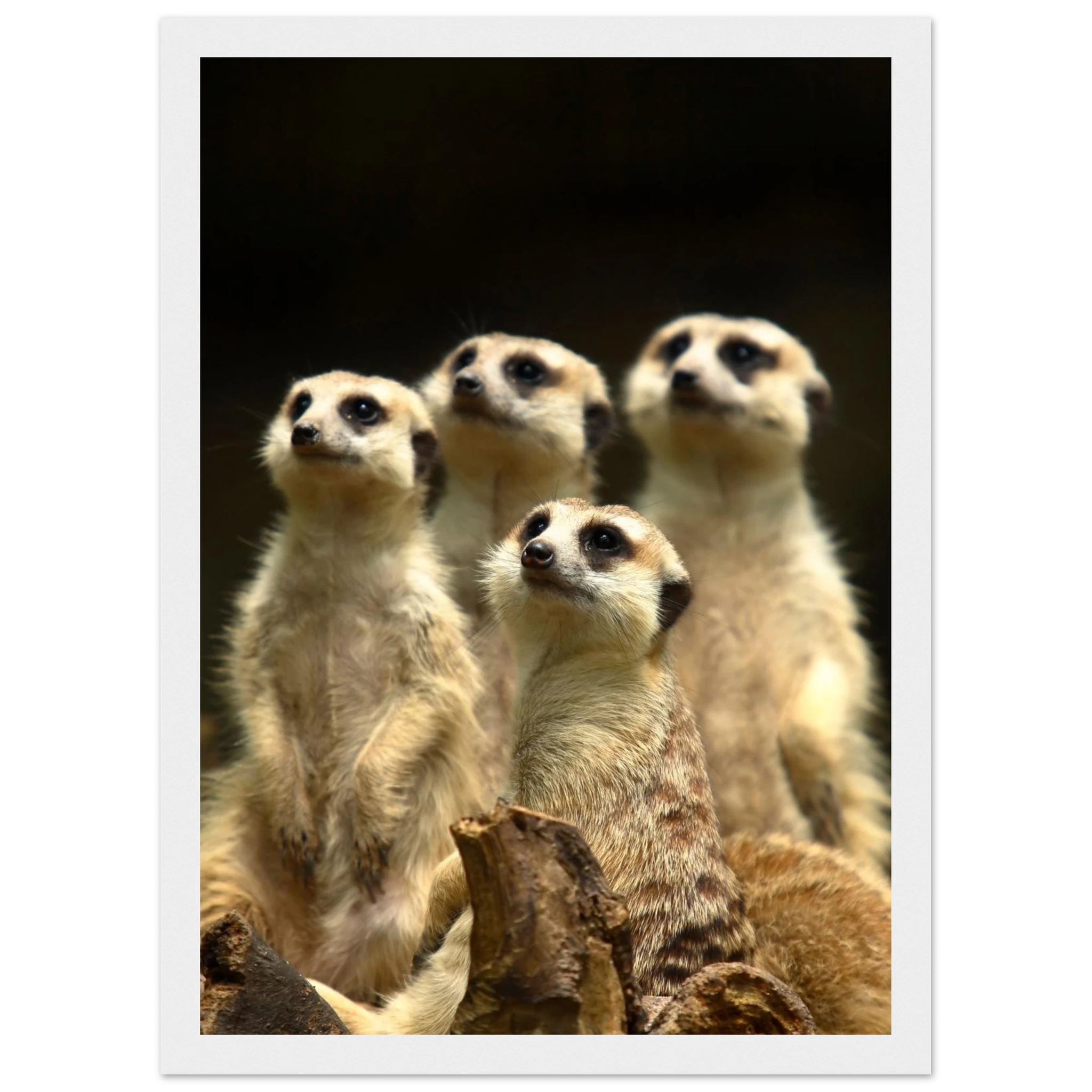 427ac023-272f-44c0-9e32-85d45885ffab