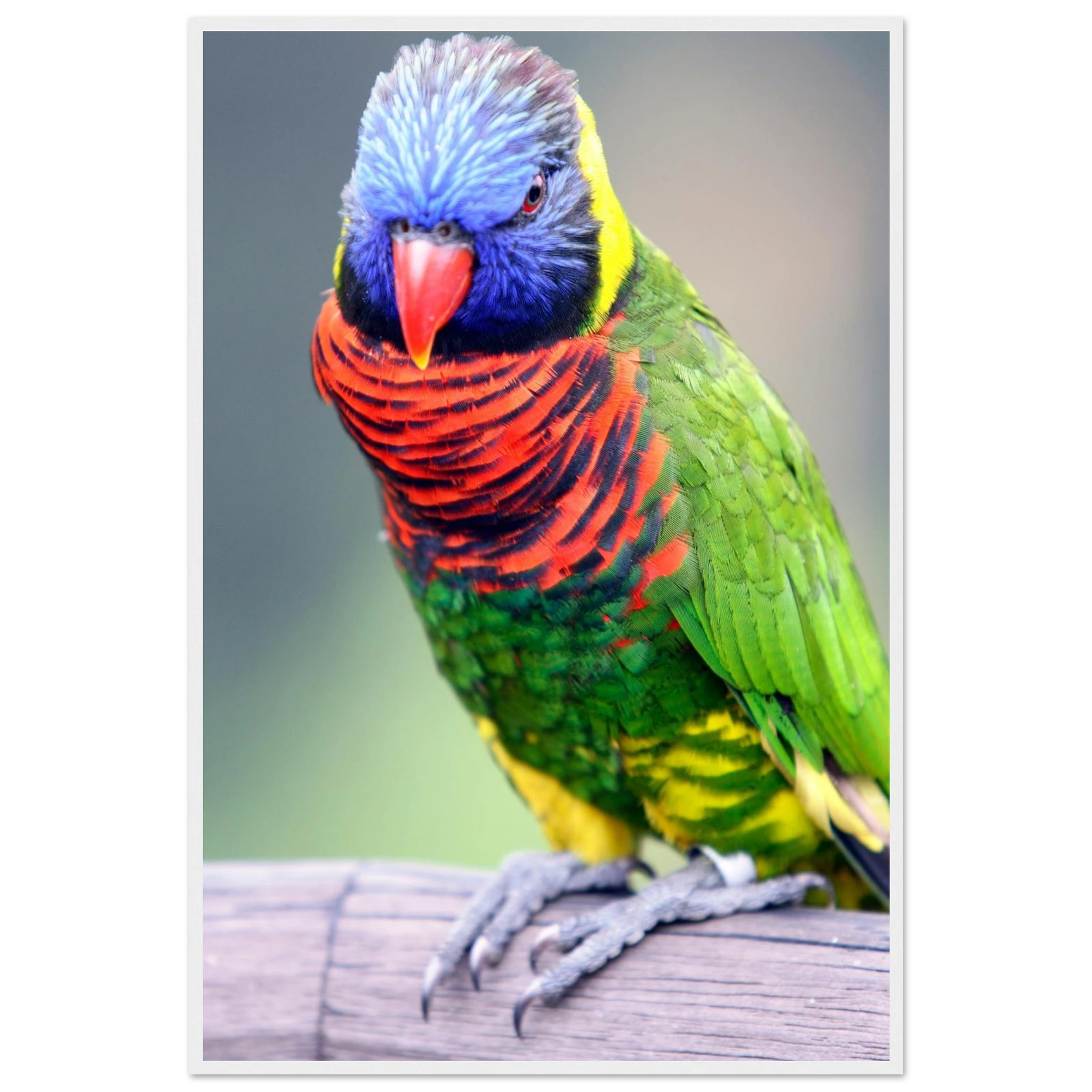 427fdd25-69d6-4792-9a31-04c2d69a0302