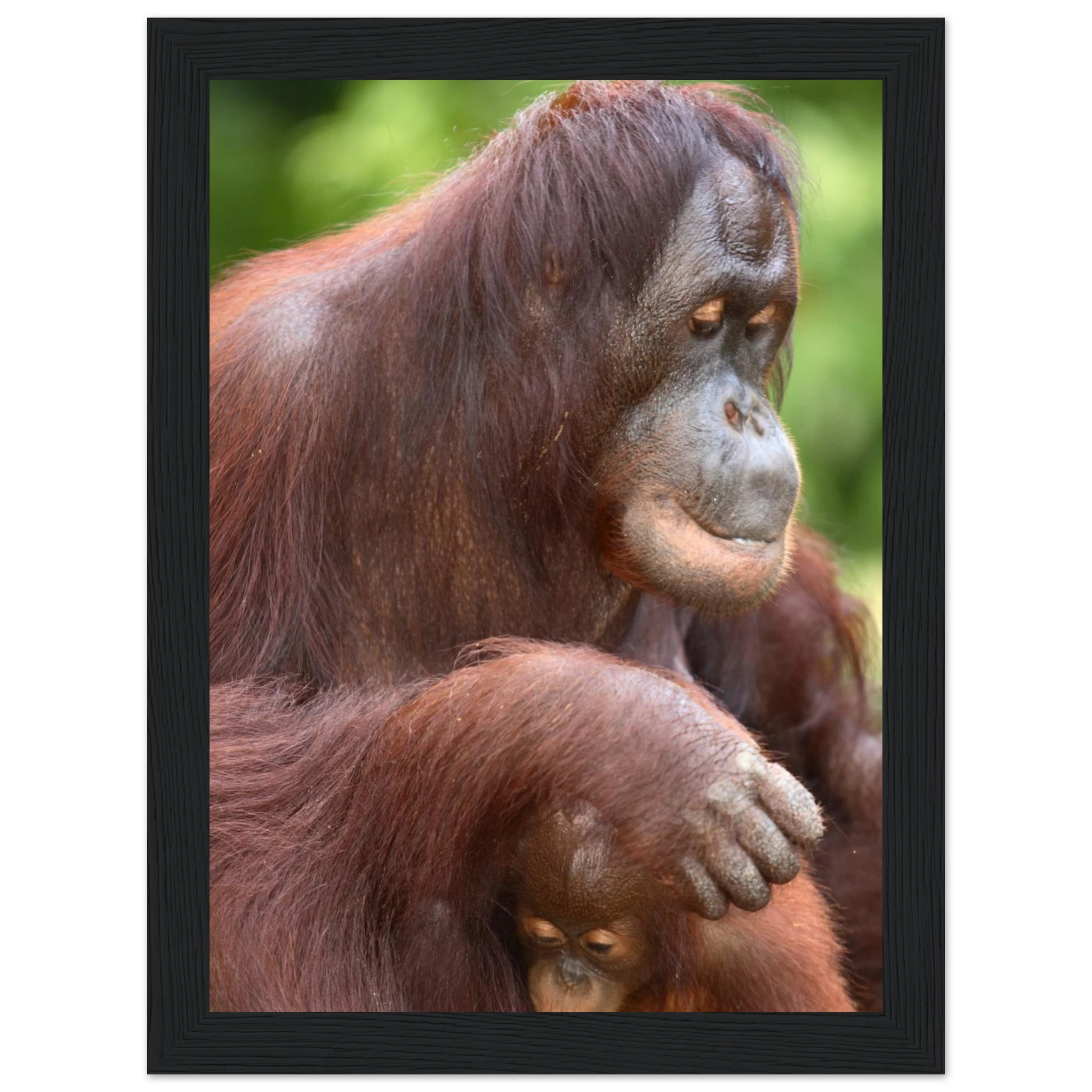 42857868-e6bc-4b55-8e79-9f90a2cb13e5