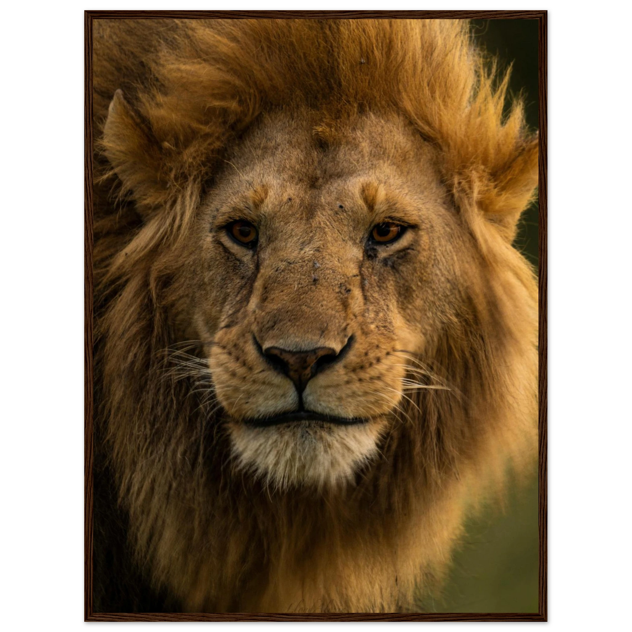 4295f33e-fff3-4458-a5d8-f547e878f745