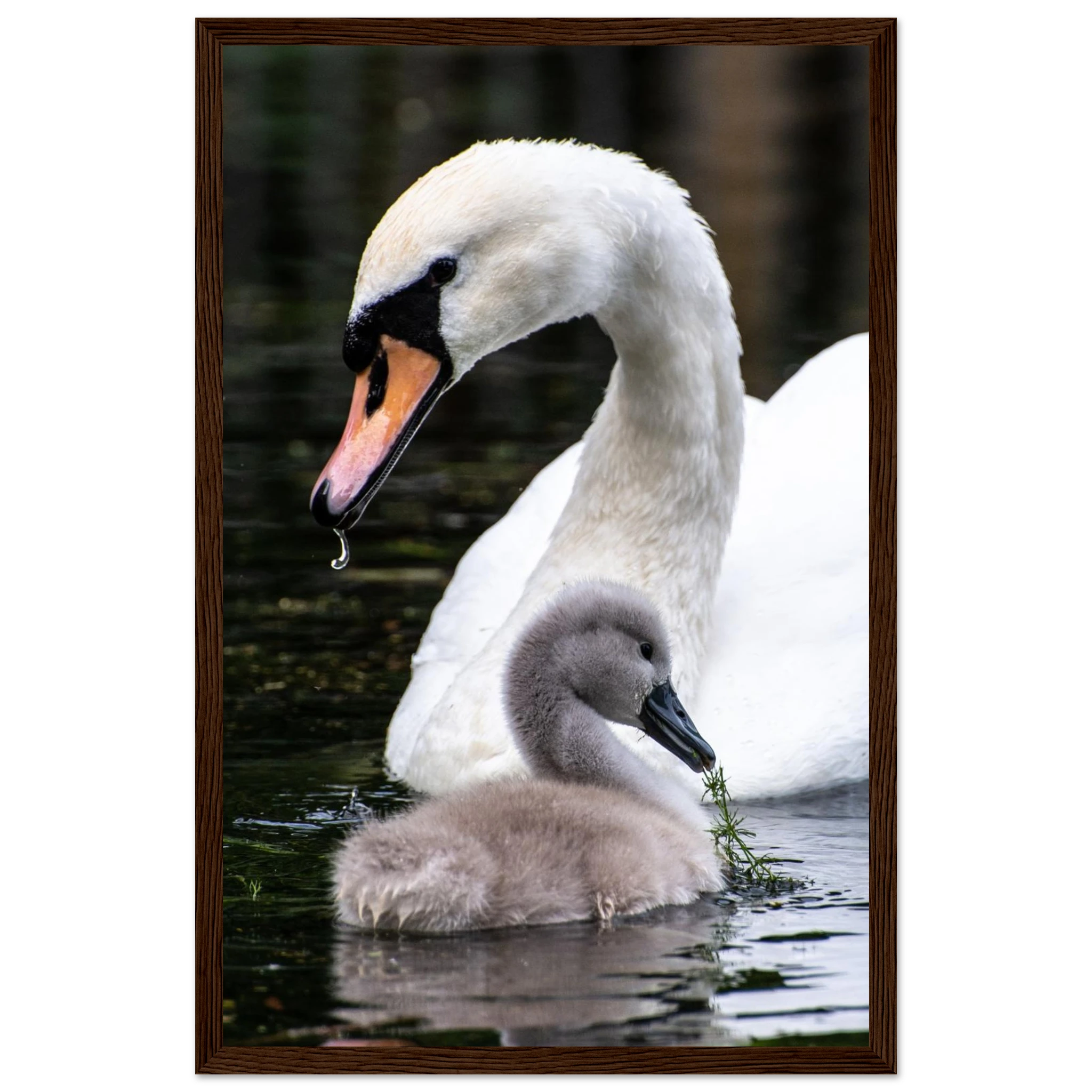 42dc35e4-ef88-4842-b5b8-8fbf235ad33b