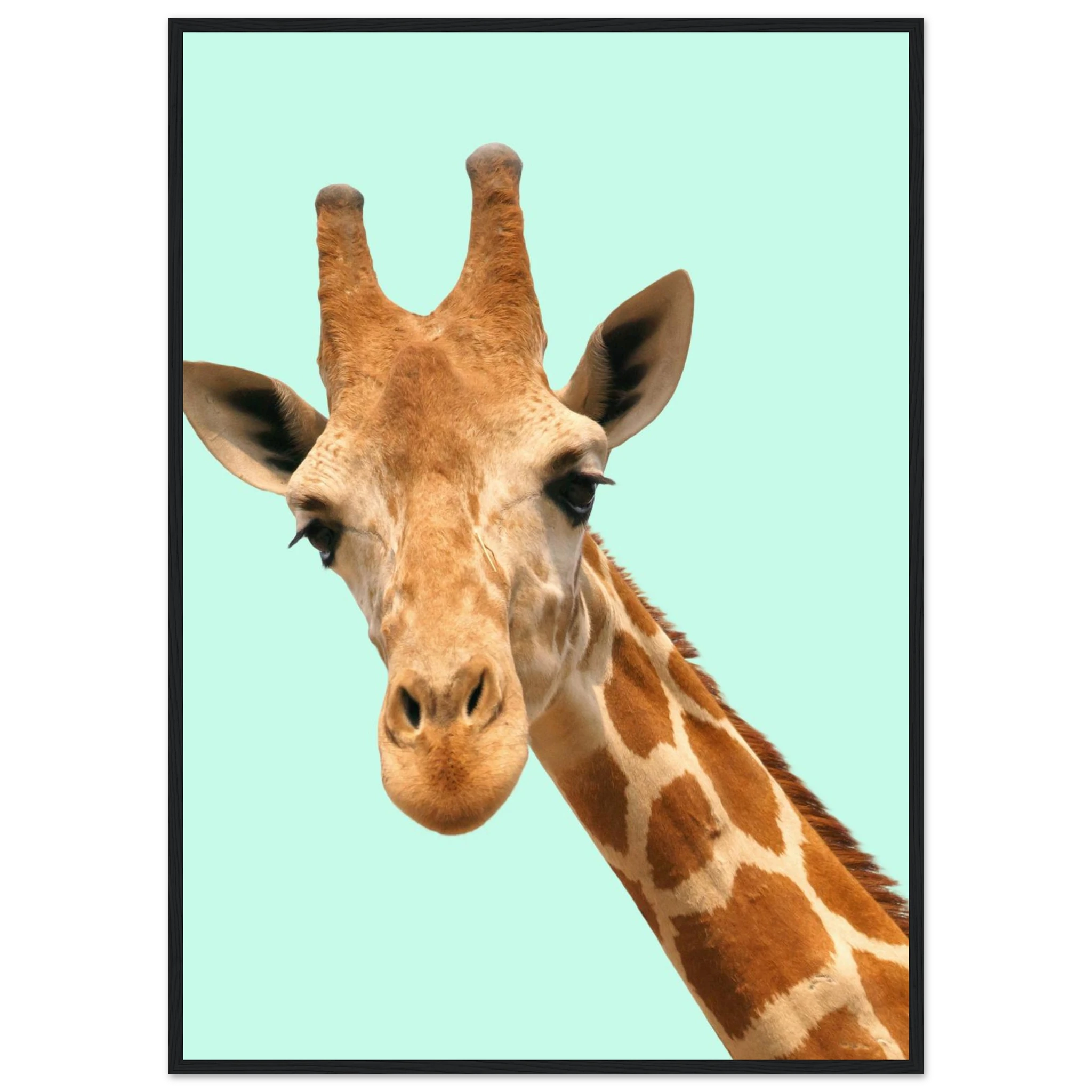 42f11f07-b214-45af-bef9-5a4de20bca0e