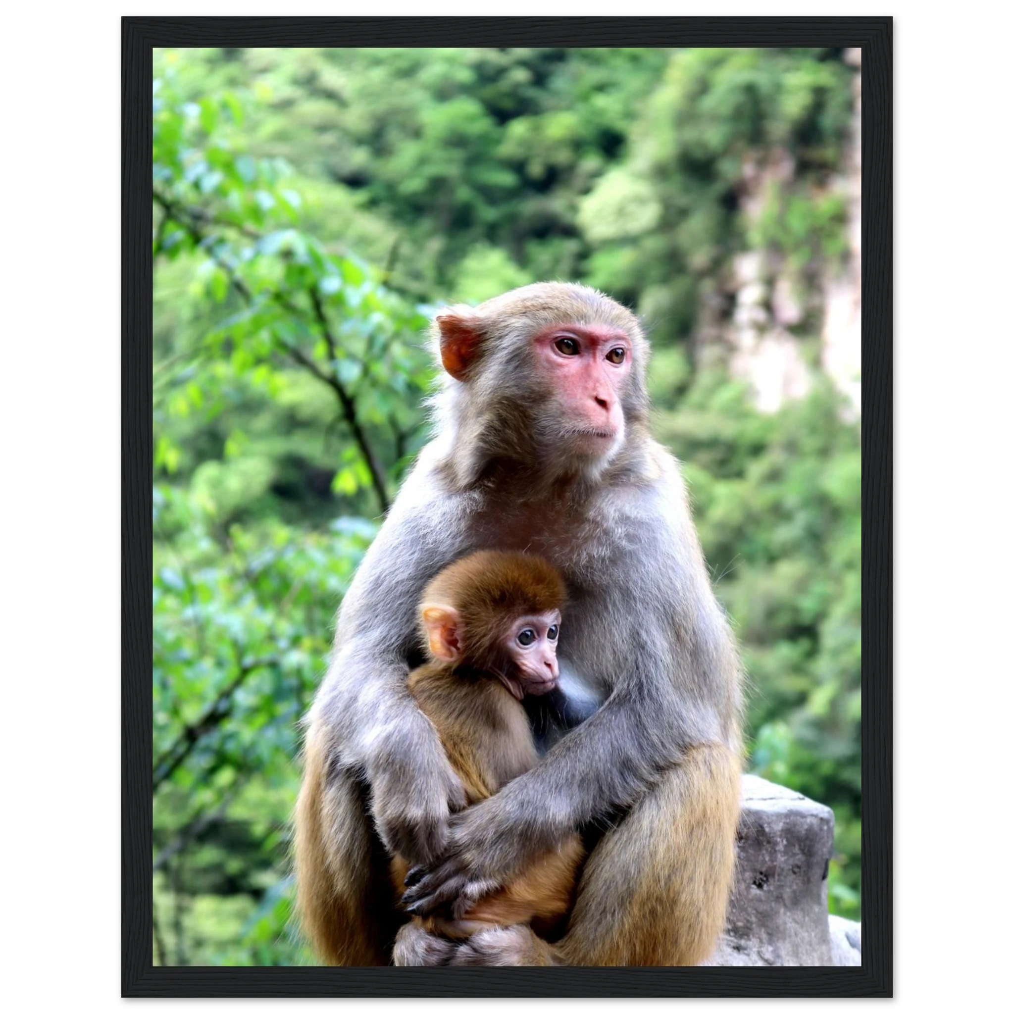 42fa18db-f5f5-4b1c-902a-fc2ce94cc6c8