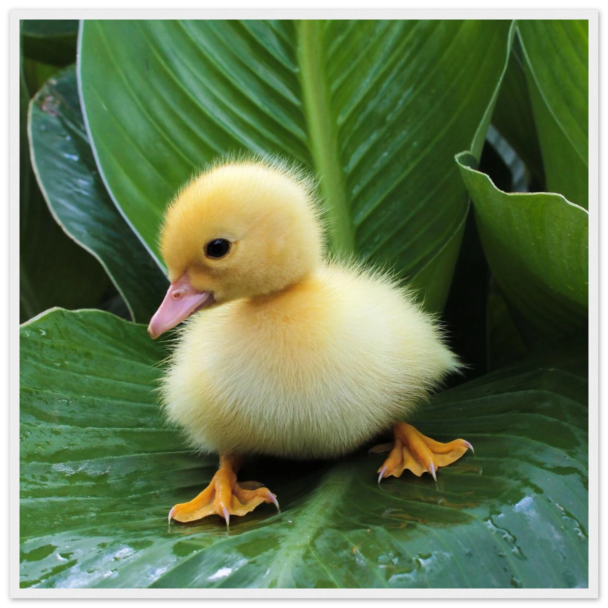 432731a6-aeb6-4df8-af41-de008b09c7d9