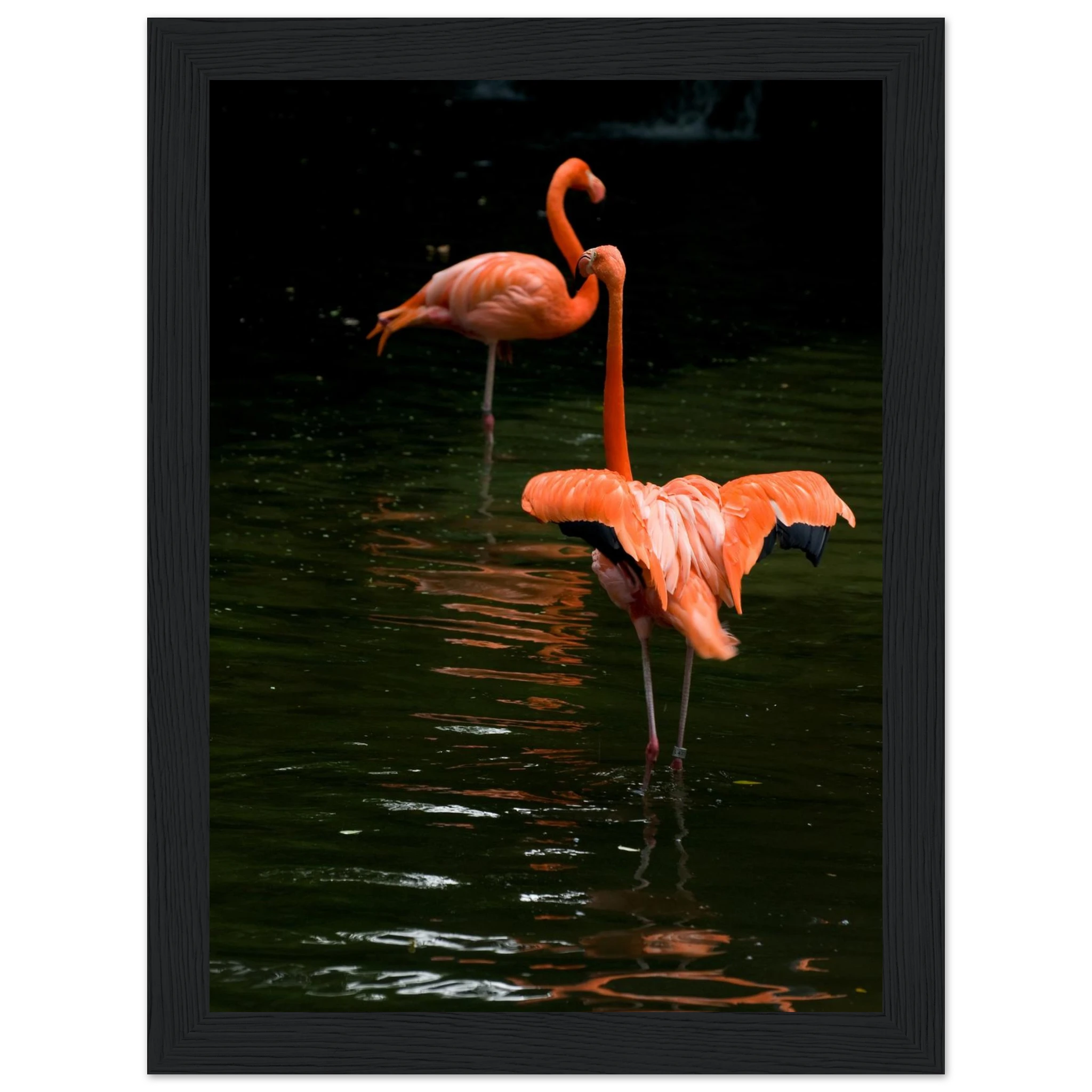 4332524c-ac94-4df4-9210-5fb8bd170001