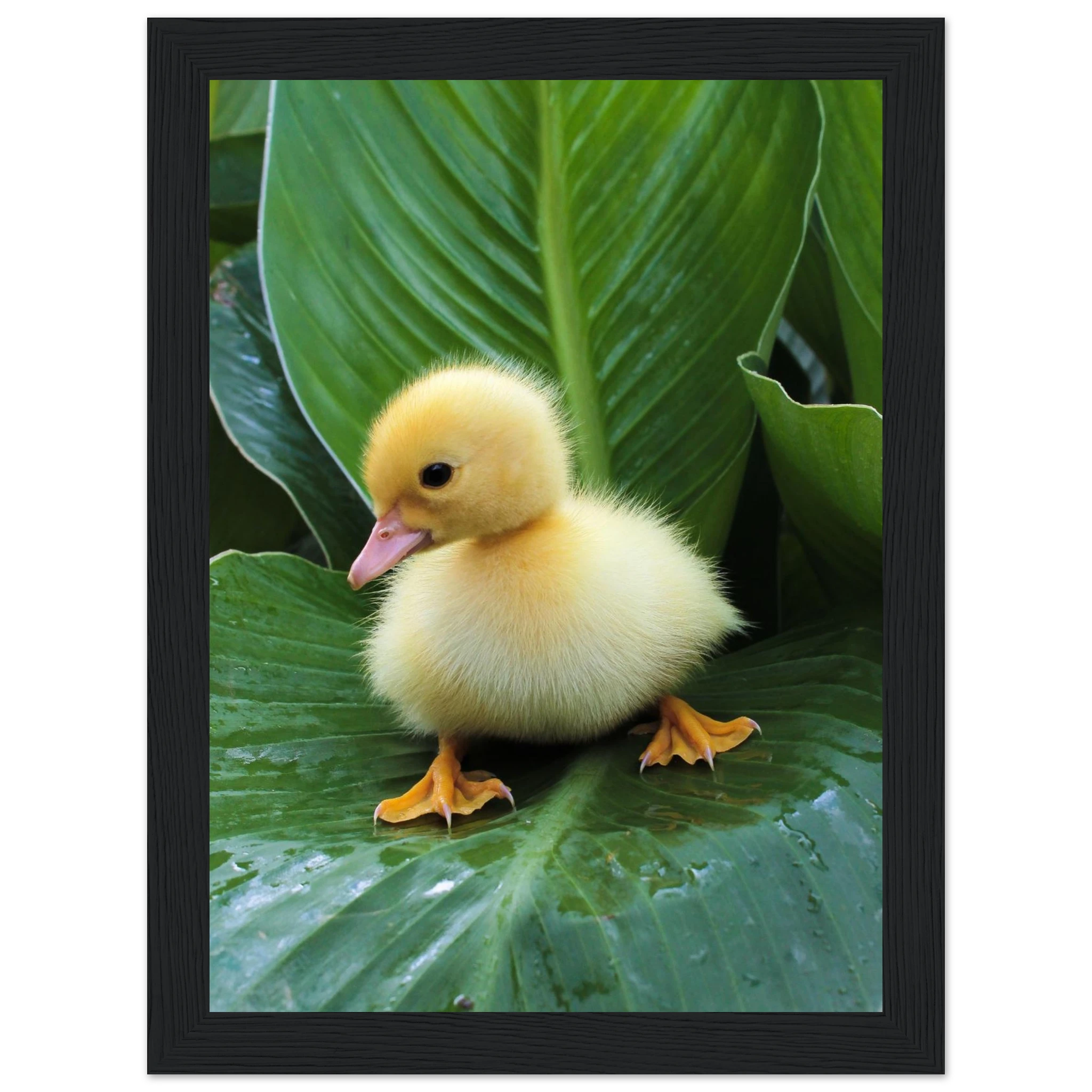 43386899-2770-40e9-874e-cdf5e1ccd90d