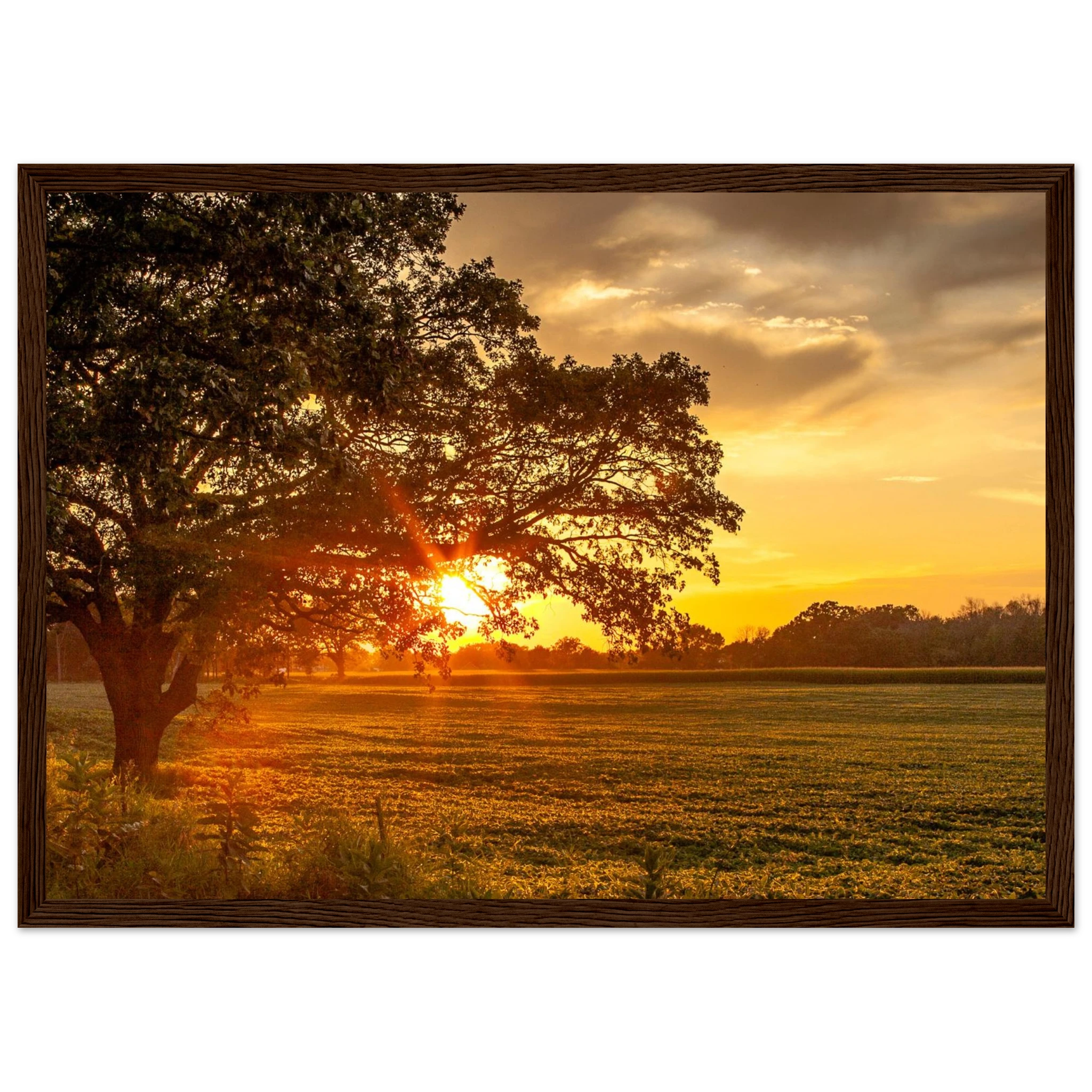 4356c6b9-34a6-43db-80df-9bb34dd06d20