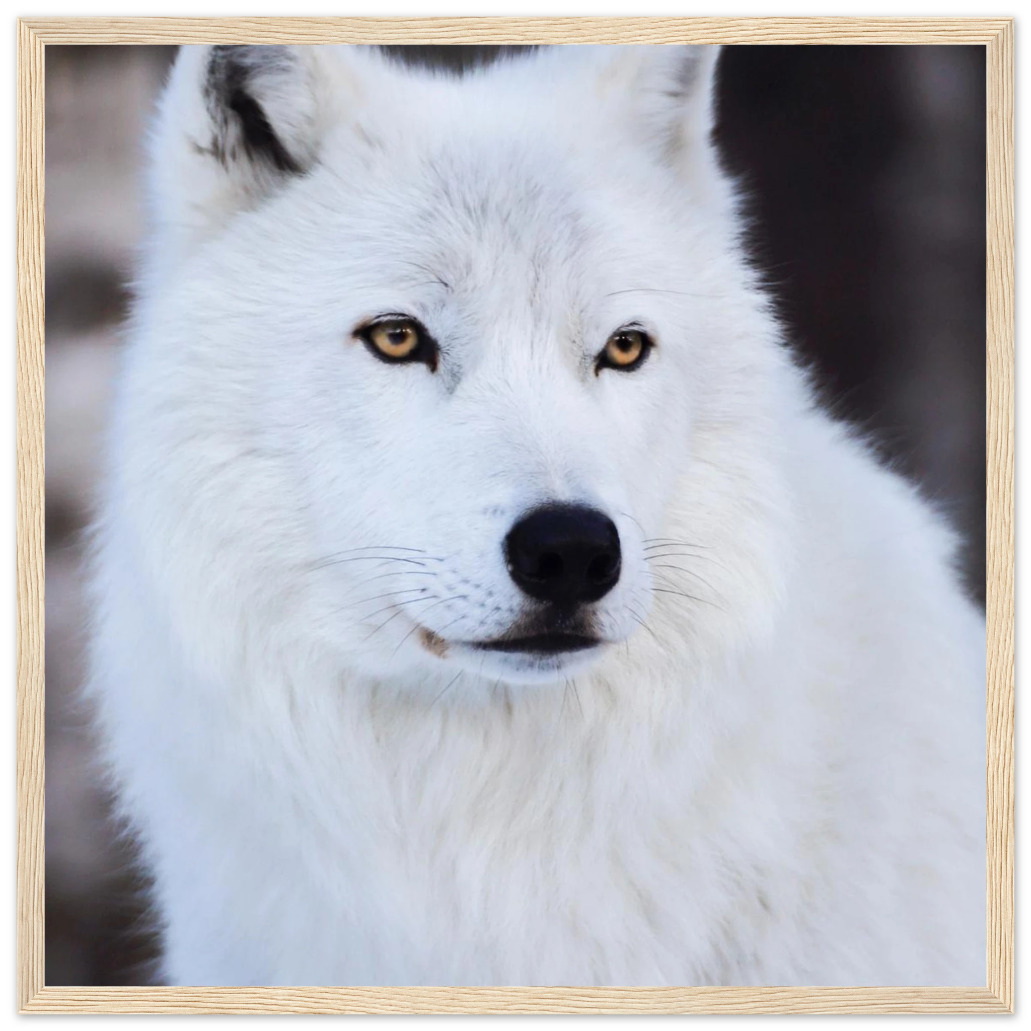 43649a99-0bb6-496f-8e18-b0975722c827