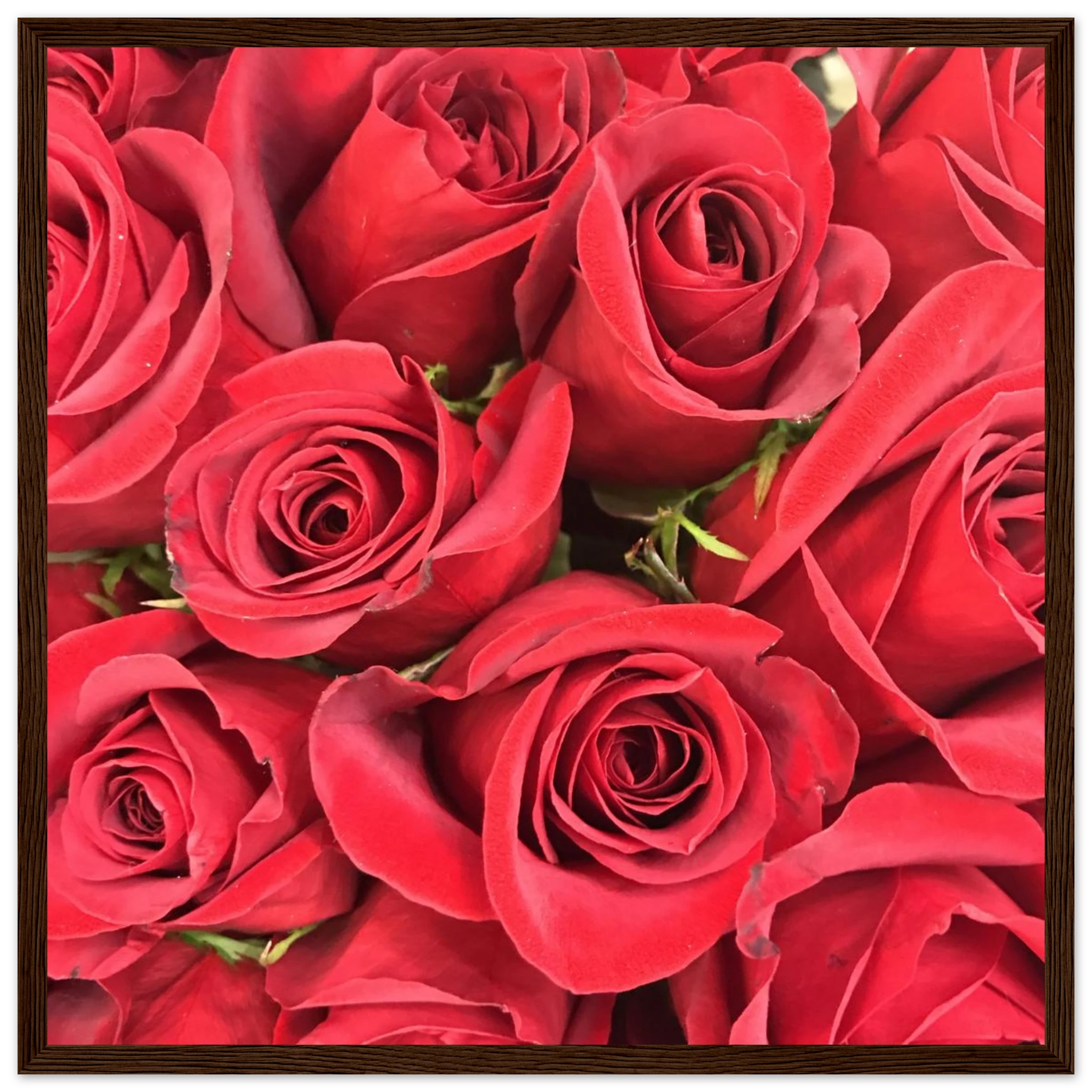 43717452-16c1-4a9d-badc-d0d06bb66d5c