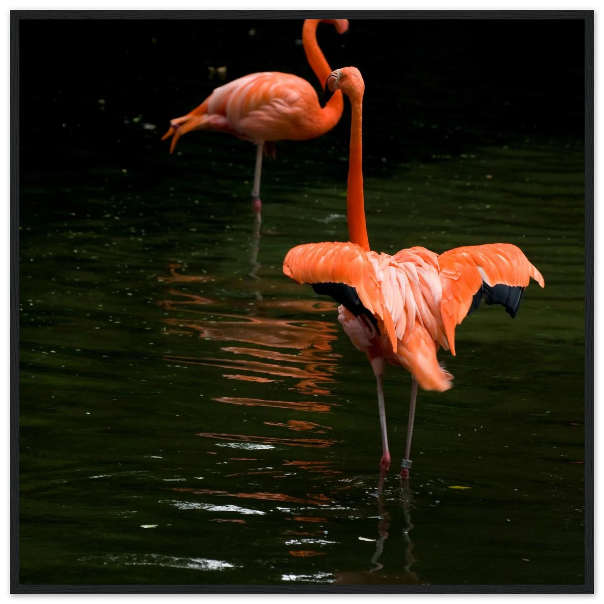 4373082b-e42c-4644-ab6e-dbdcce72b6ef