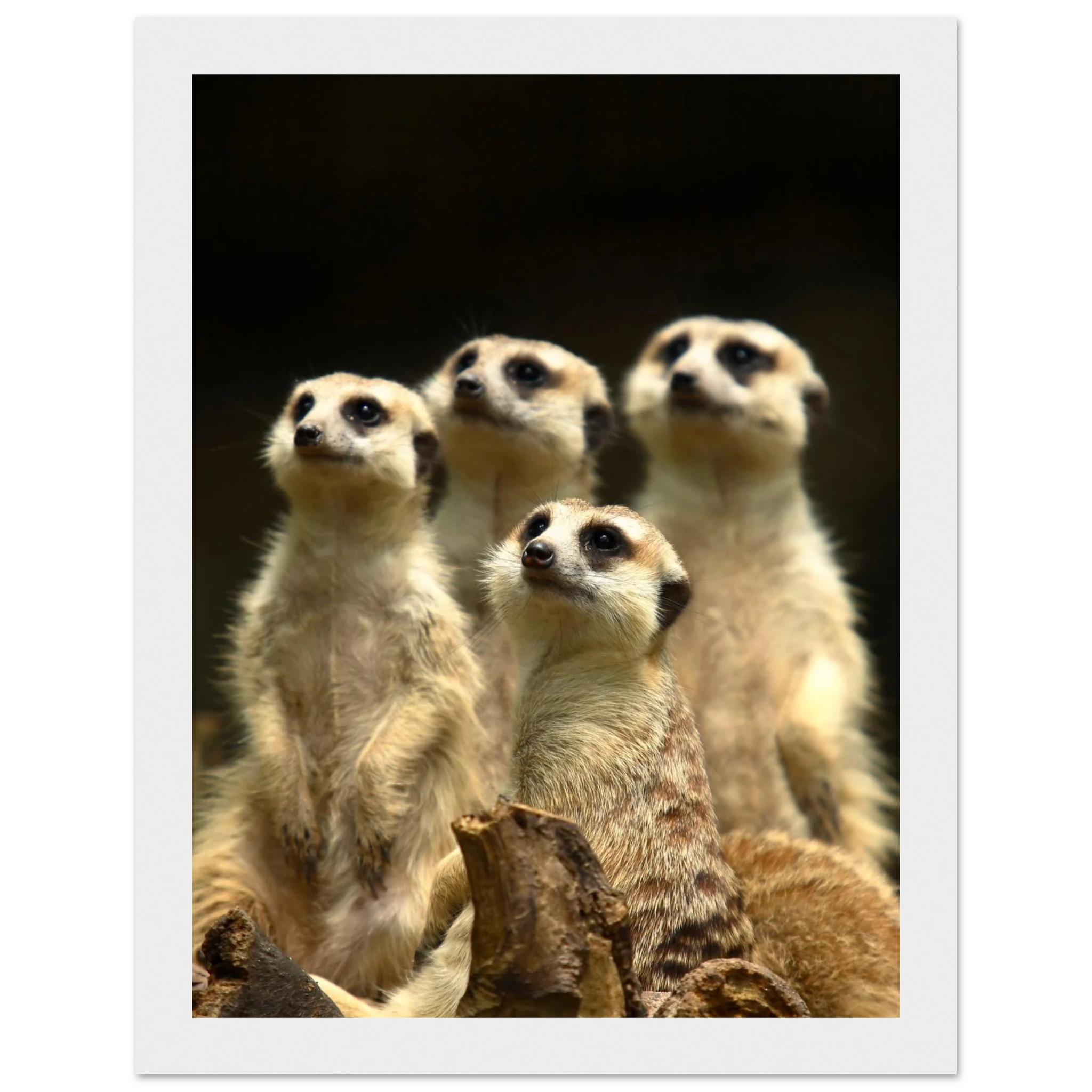 438fc7e2-1439-4cbc-a4f4-1ff358e32fd0