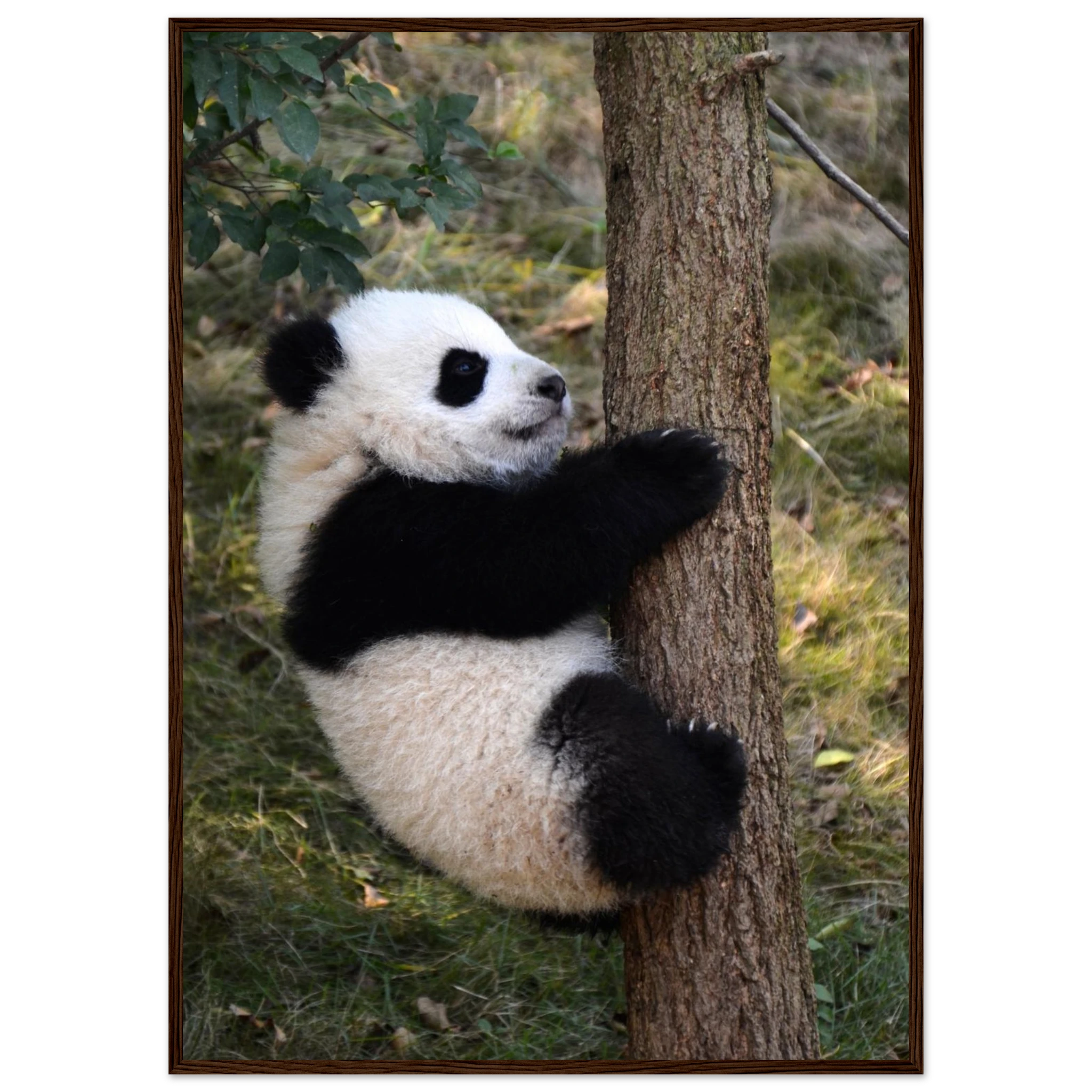 43940301-65fa-48bc-9681-a3ff119be6f4