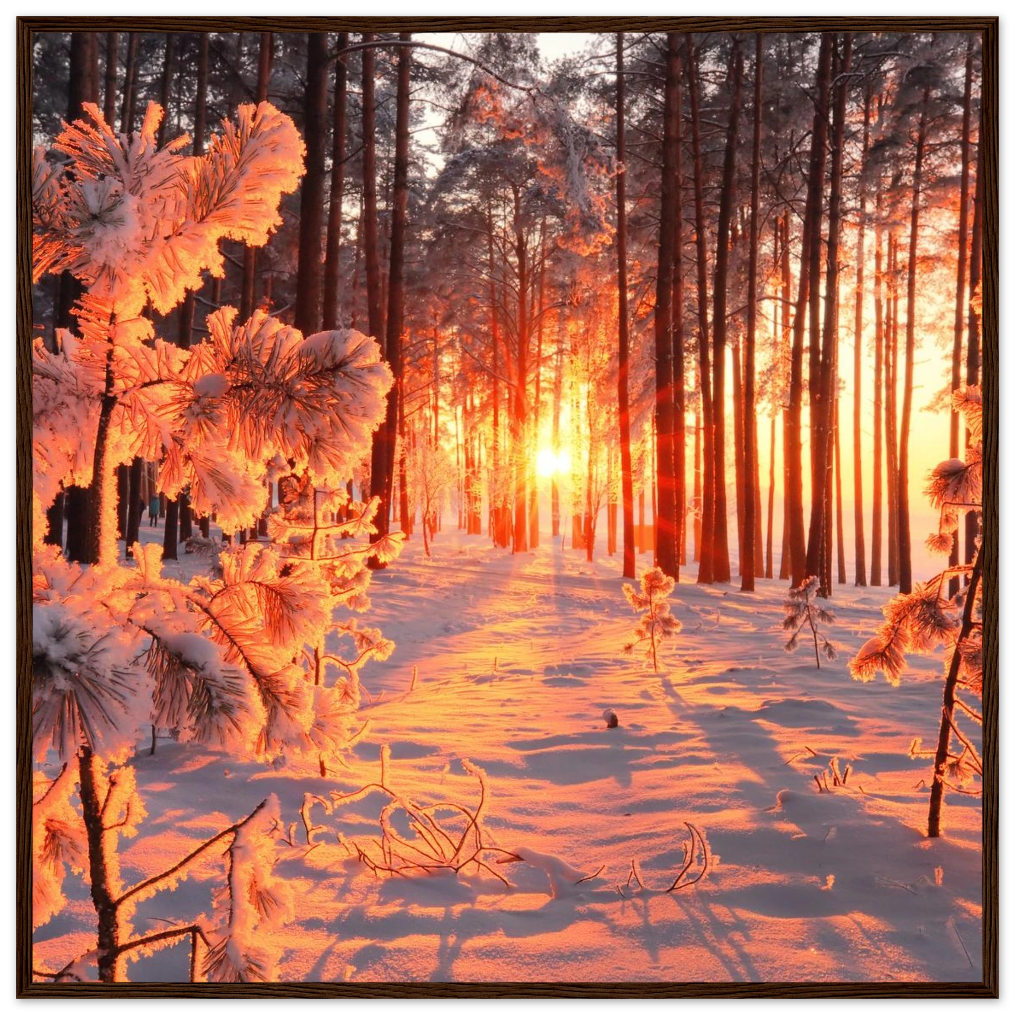 43988ae5-f5c8-43bc-8c42-764ddedd5dd8