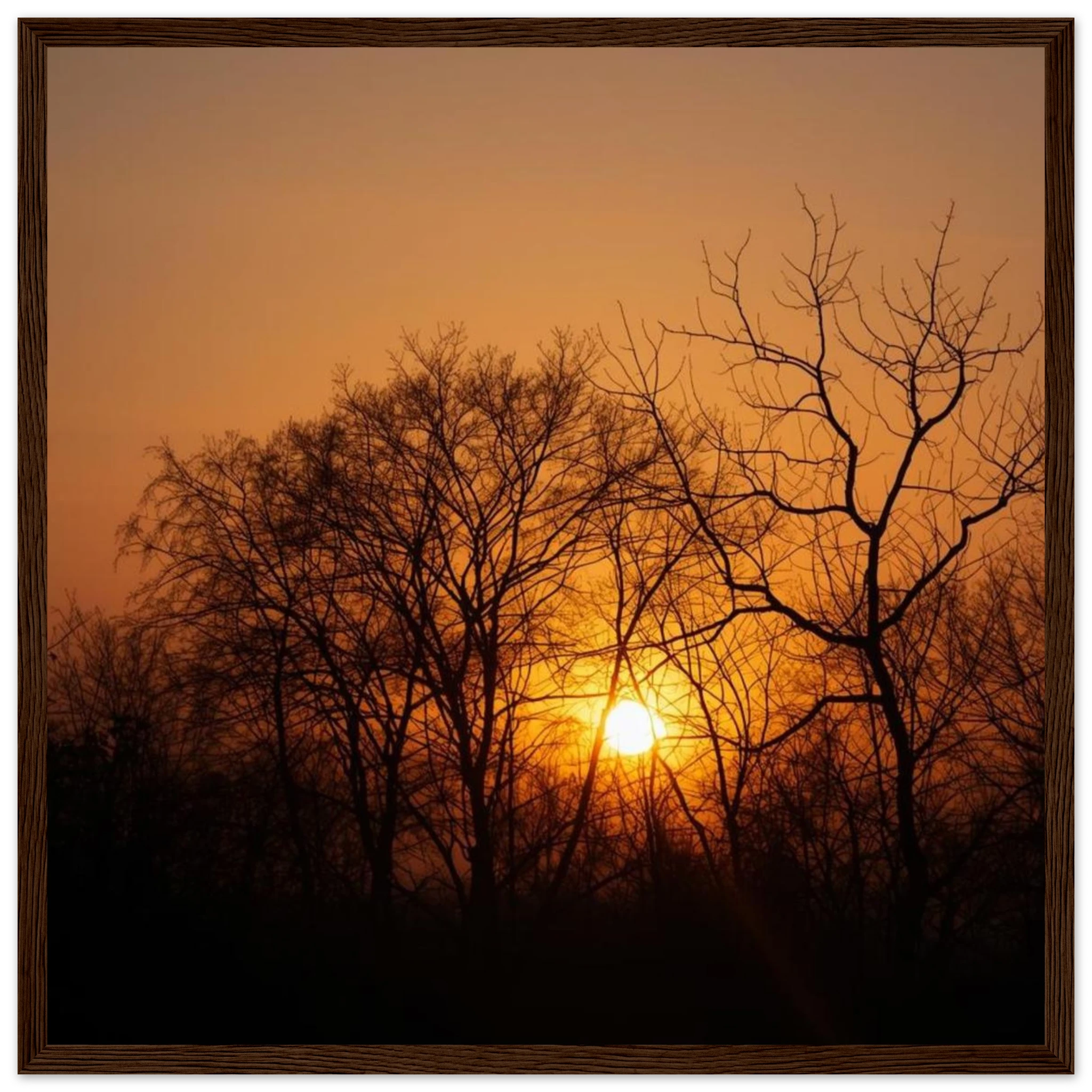 4399f199-3a6e-48eb-9a6e-ccb583d249d4