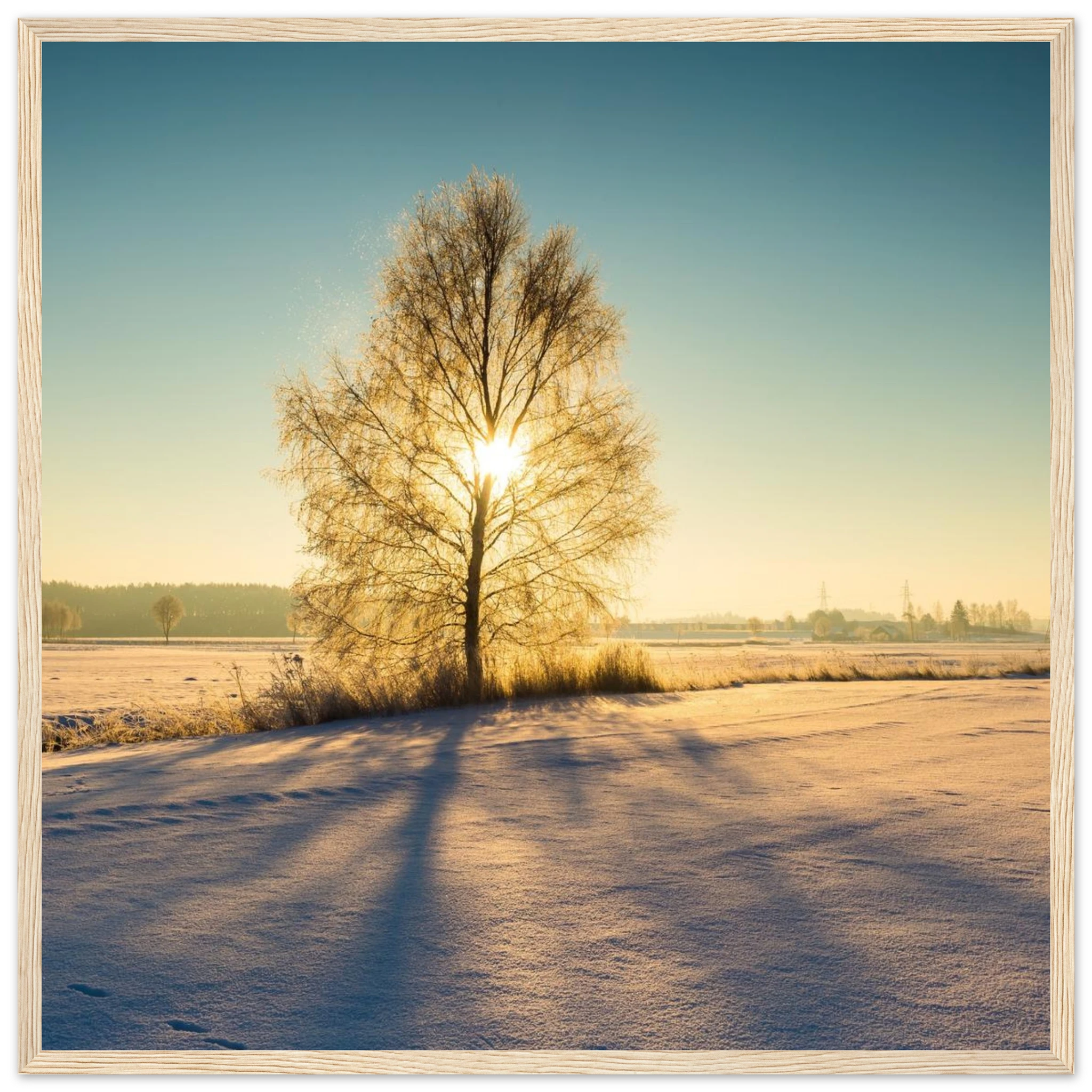 43c72c2c-333c-4ee6-ad1a-83040f06b7fd