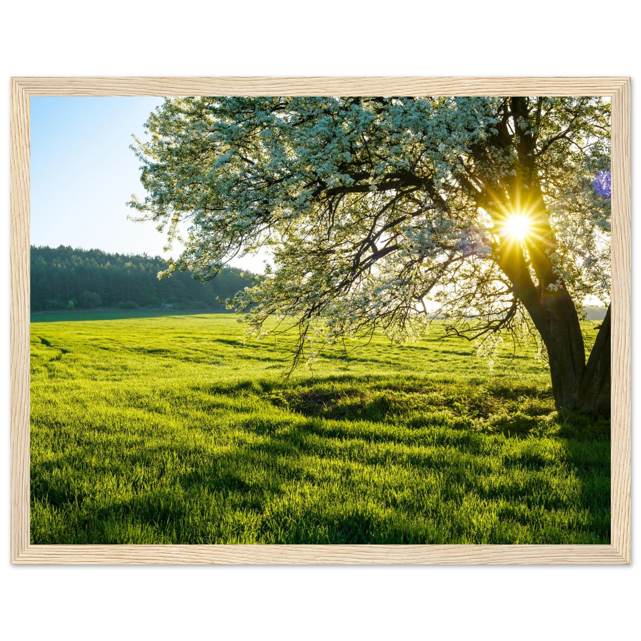 43c7f3ac-d43f-48d0-94f3-79f166e59c5f