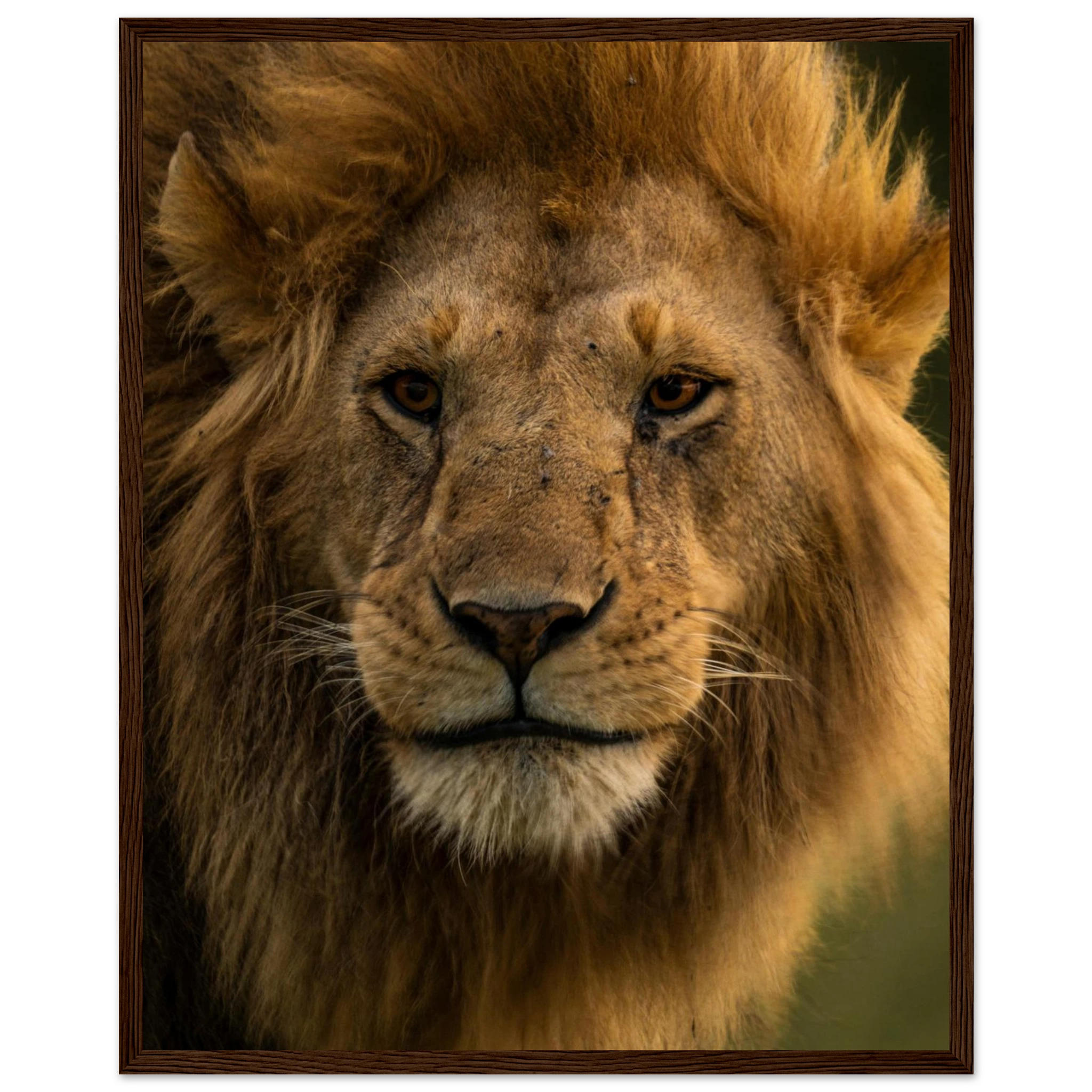 43d2c879-081e-44c3-bc44-0836f7e0d87b