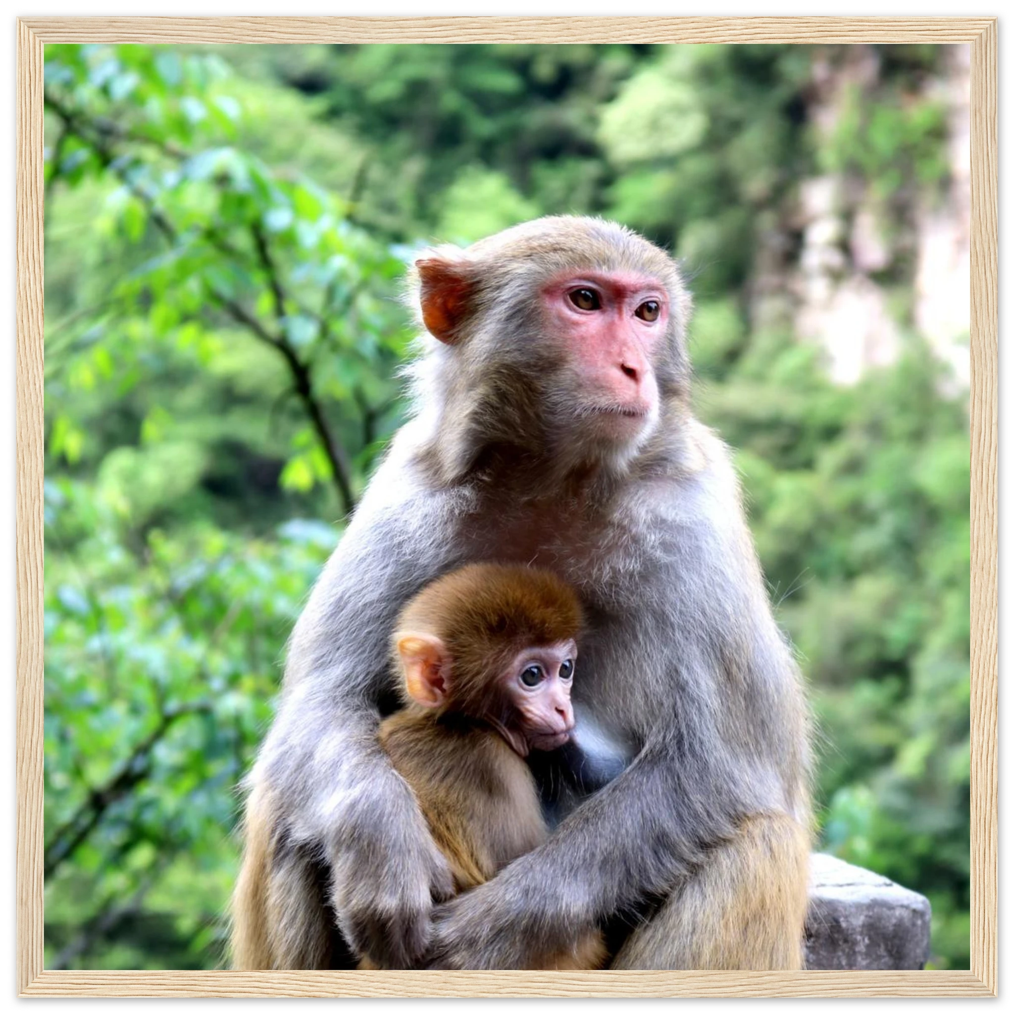 43e89525-089e-4991-b8ee-d169b205e3bd