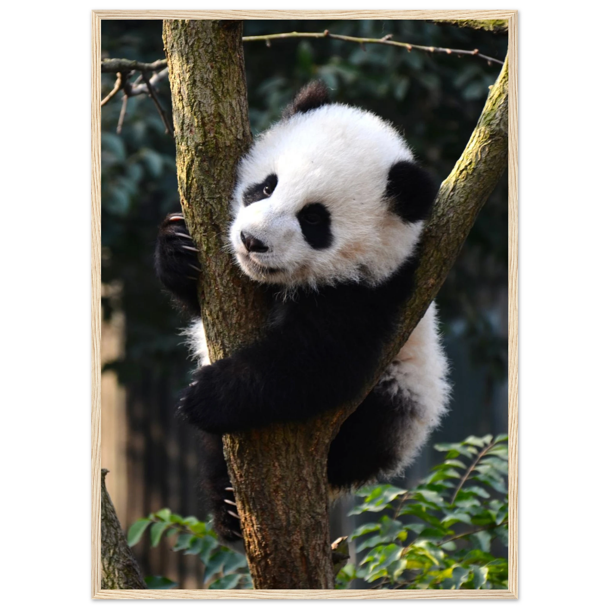 43efa441-e68f-4cc0-b767-87ef5f45b9dc