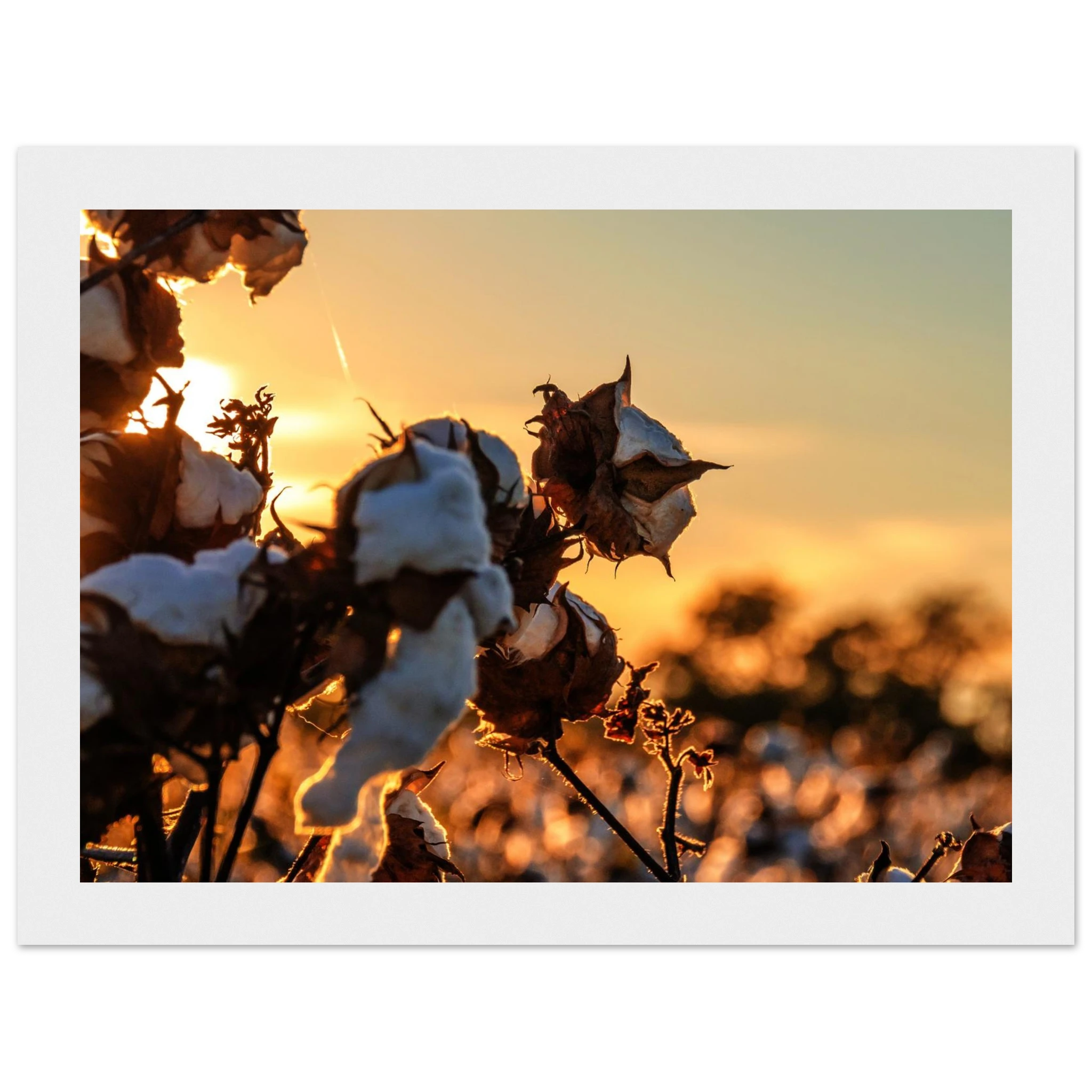 440d6963-43ab-4c65-af82-5afa03980293