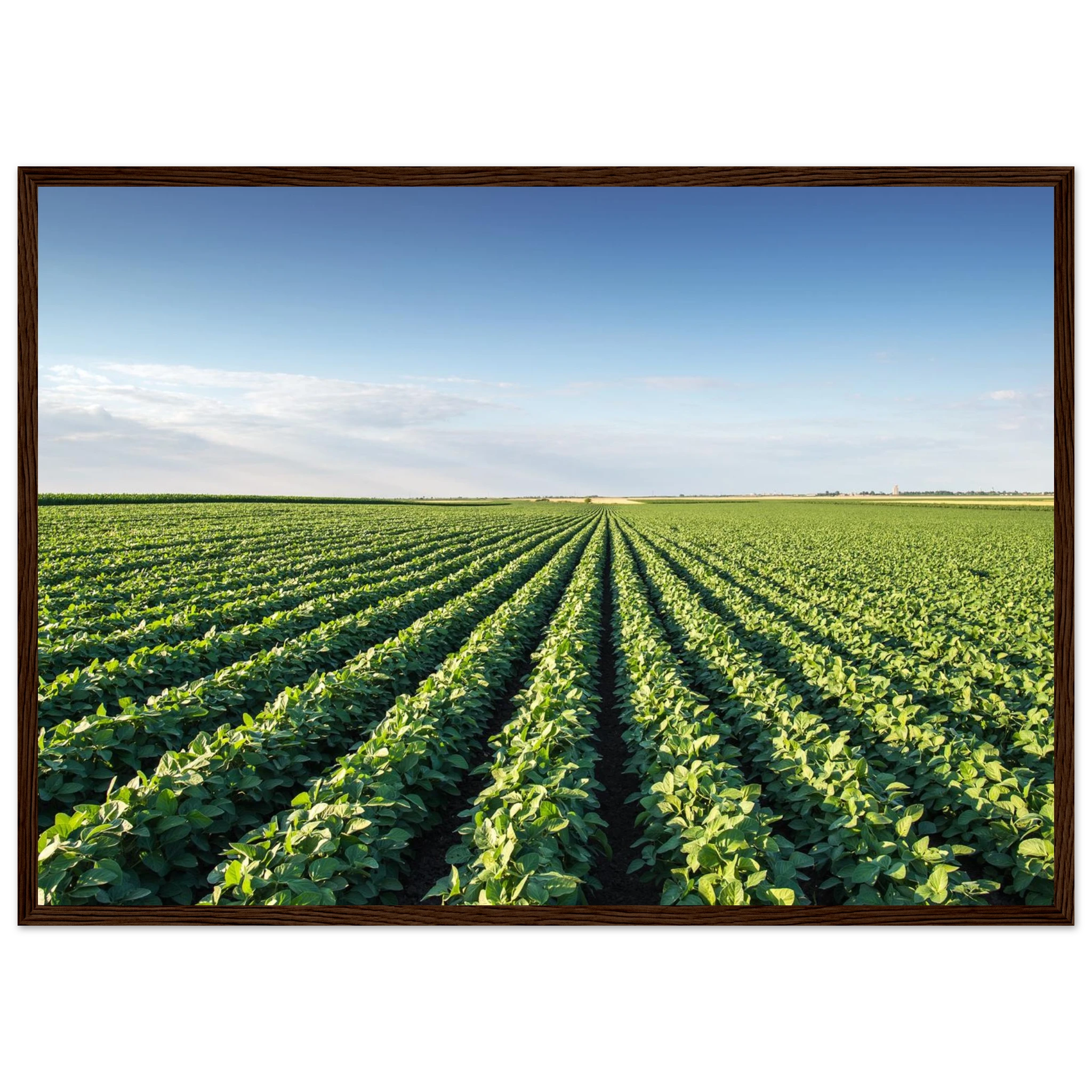 443b6343-8128-404c-9035-673ec69949e8