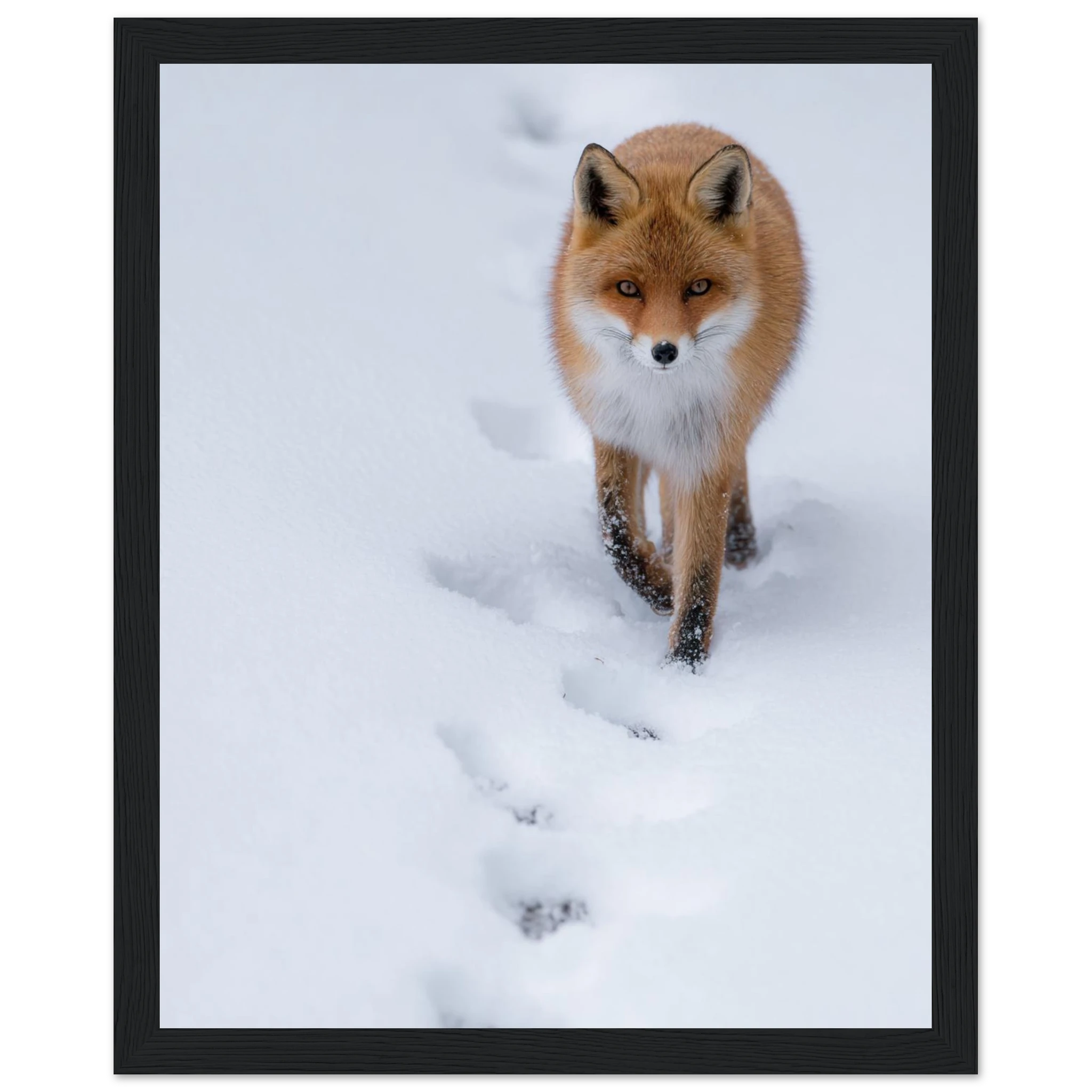 44643474-4218-446e-93f2-c98f0e024e48